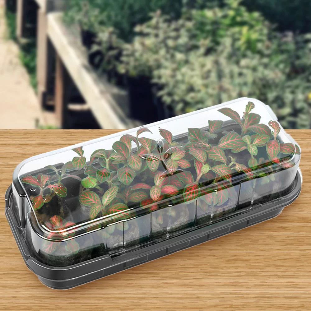 ZTOO 10 Cells Seedling Starter Tray Seed Germination Garden Flower Plant Pots Nursery Grow Box Plant Grow Seedling Germination Kit Nursery Pots Gardening Supplies