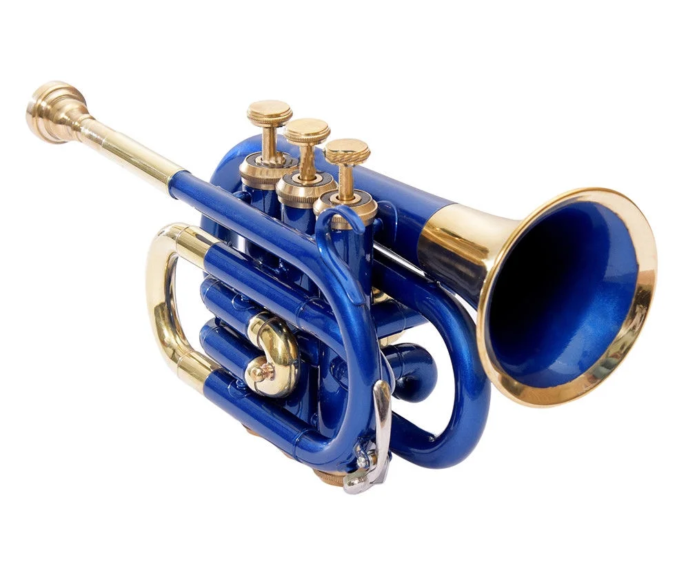 pocket trumpet blue and brass Bb pitch with hard case bag and mouthpiece