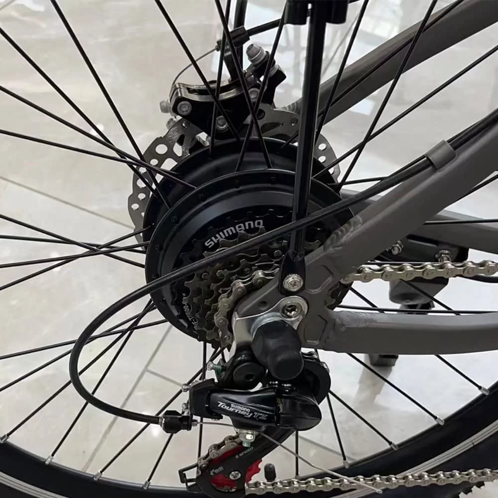 350W Electric Bike 26x4'' Fat Tire Mountain Ebike 48V 10Ah 6 Speeds Snow Beach Electric Bicycle for Adults (Gray)