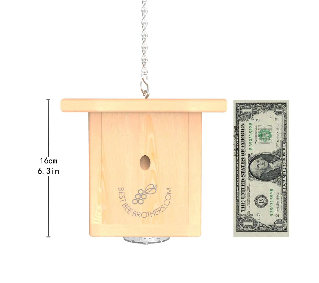 Best Bee Brothers Pine Wood Carpenter Bee Box Trap