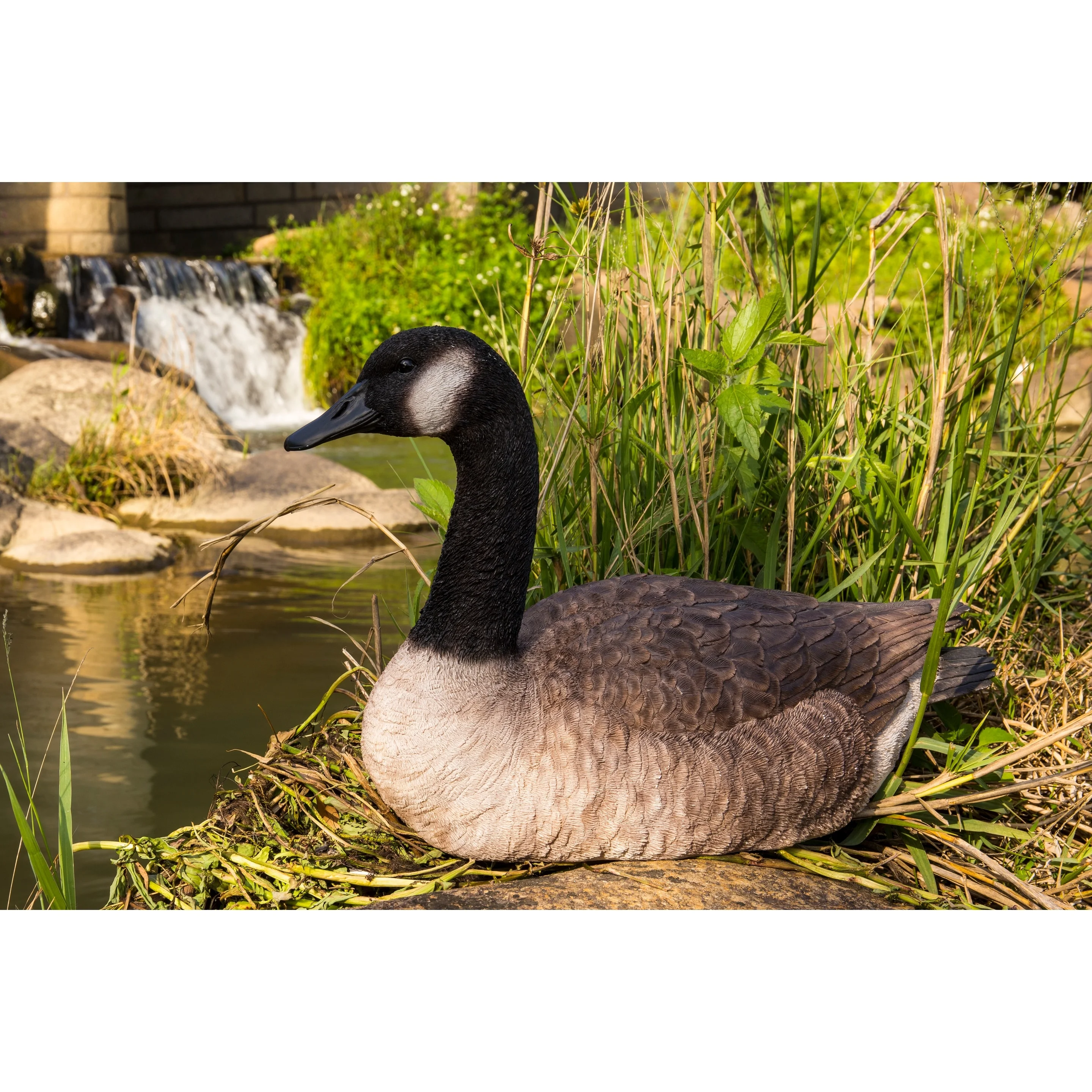 Sitting Canadian Goose Garden Statue