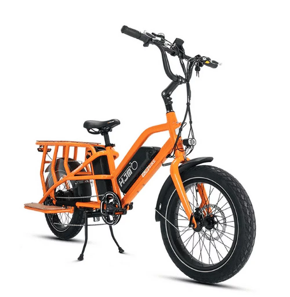 Electric Bike for Adults, 750W Motor 48V 15AH Removable Battery, 20