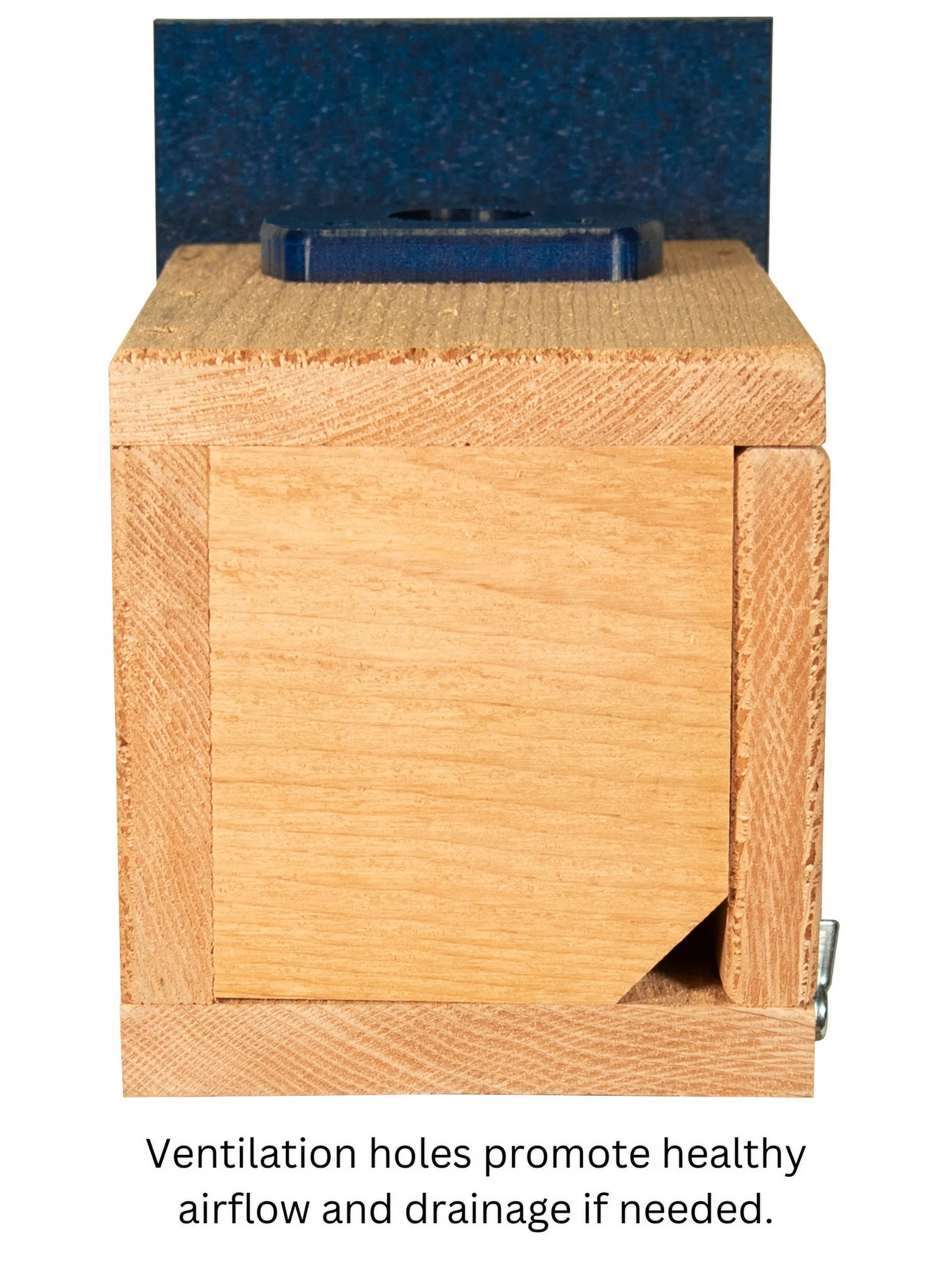 Cedar Standard Bluebird House (Blue)