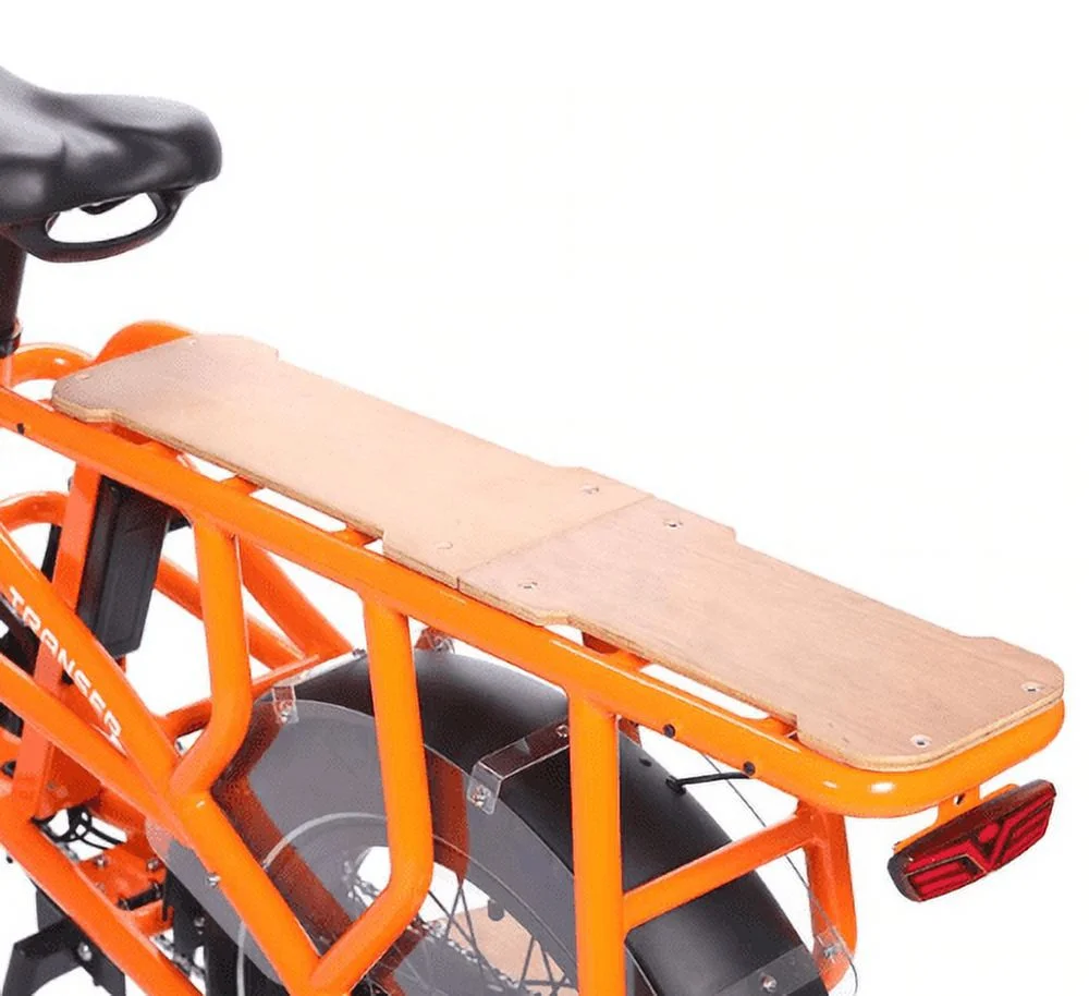 Electric Bike for Adults, 750W Motor 48V 15AH Removable Battery, 20