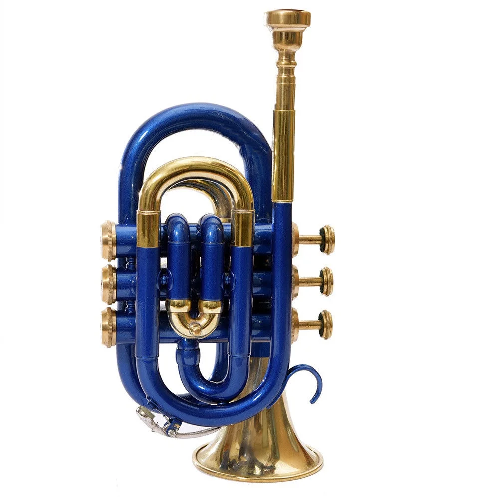 pocket trumpet blue and brass Bb pitch with hard case bag and mouthpiece
