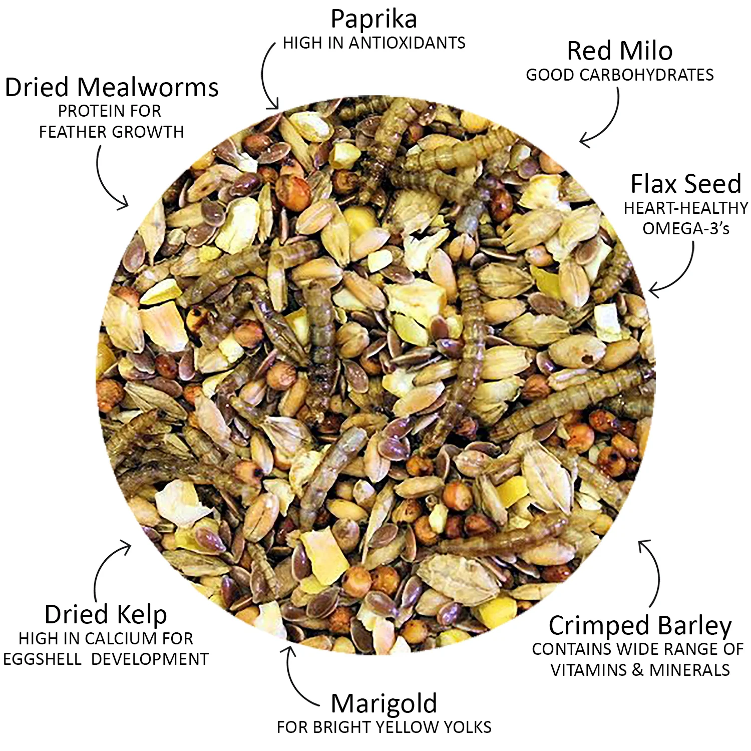 Exotic Nutrition Chicken Ecstasy 3 lb.