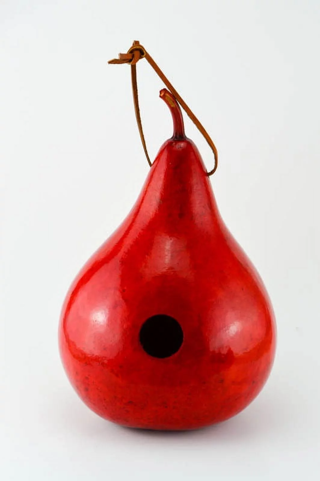 Gourd Birdhouses - Red Birdhouse - Martin House