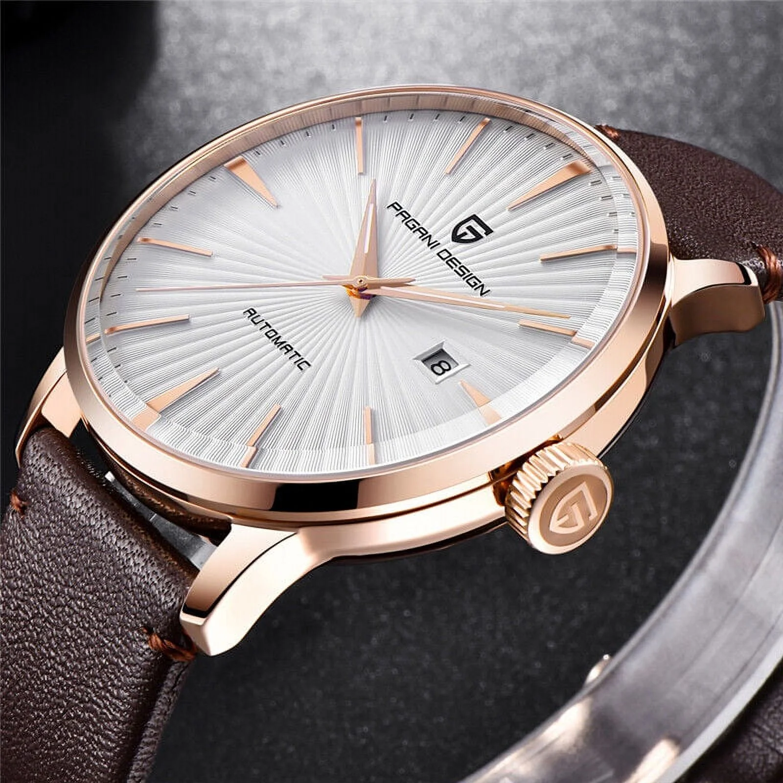 PAGANI DESIGN Luxury Mens Automatic Watches Genuine Leather Band Business Watch
