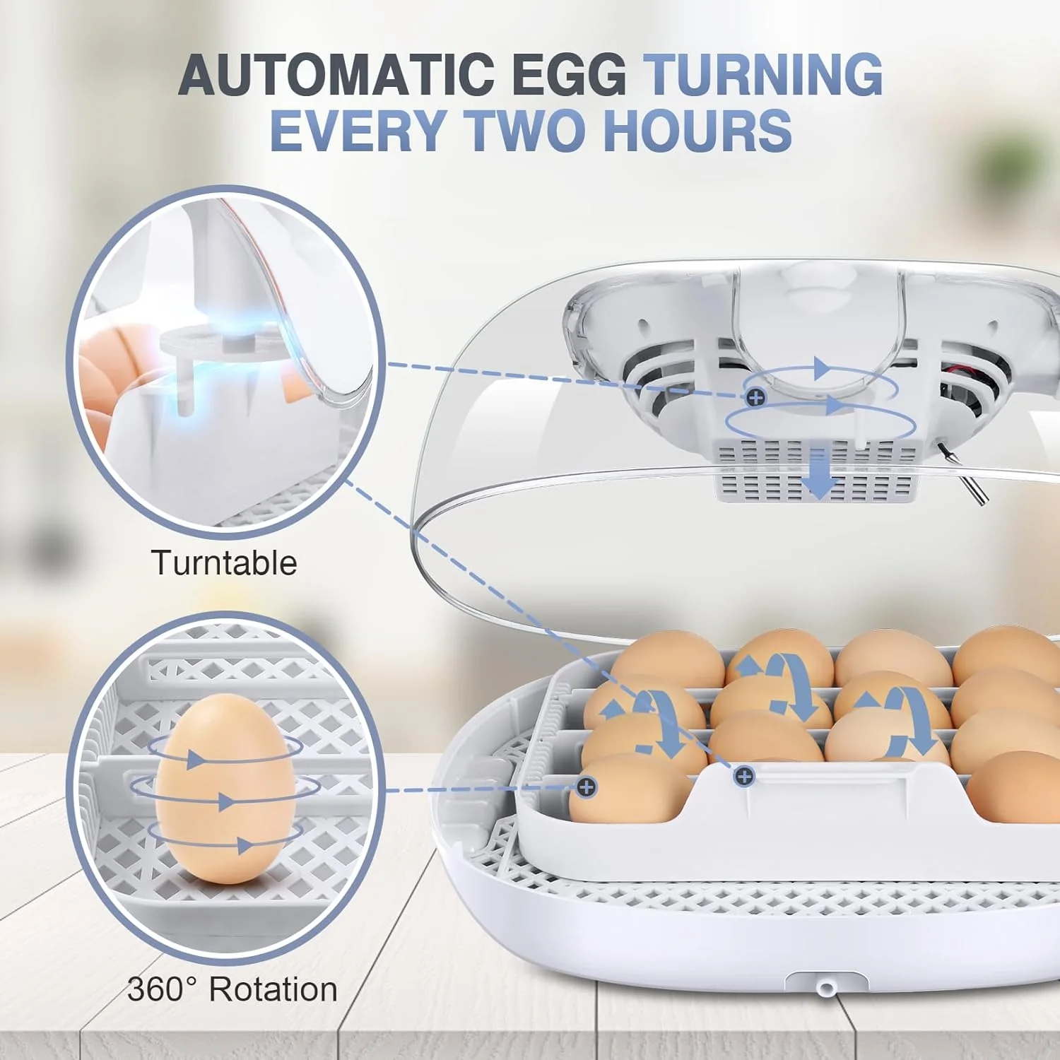 Egg incubator, 16-35 Incubators for Hatching Eggs, Automatic Egg Turner with Temperature Control, External Automatic Water Addition for Hatching Chicken Quail Duck Parrot Bird