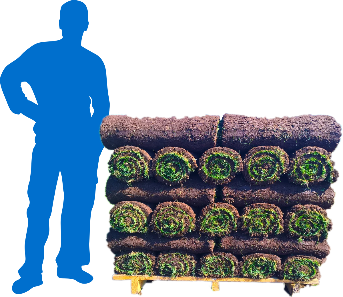 Bluegrass 500 sq. ft. Sod Pallet