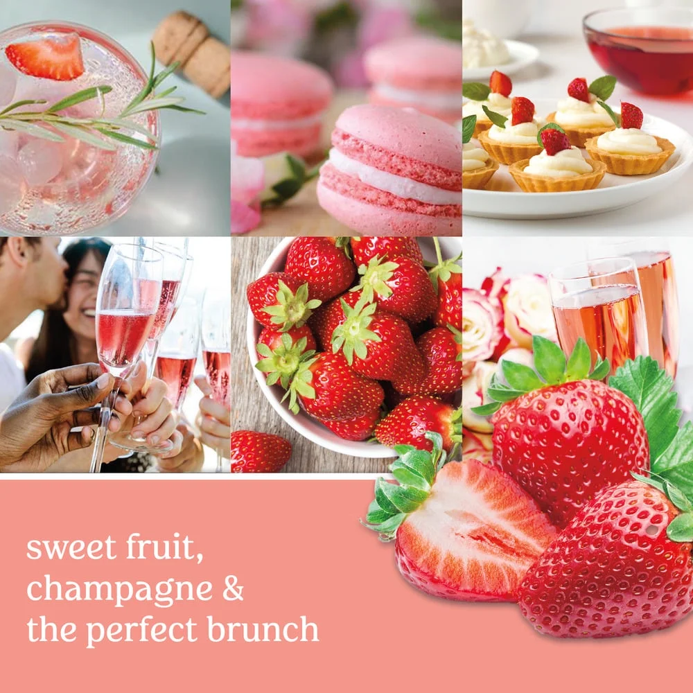 Yankee Candle Wax Melts, White Strawberry Bellini (Single Pack)