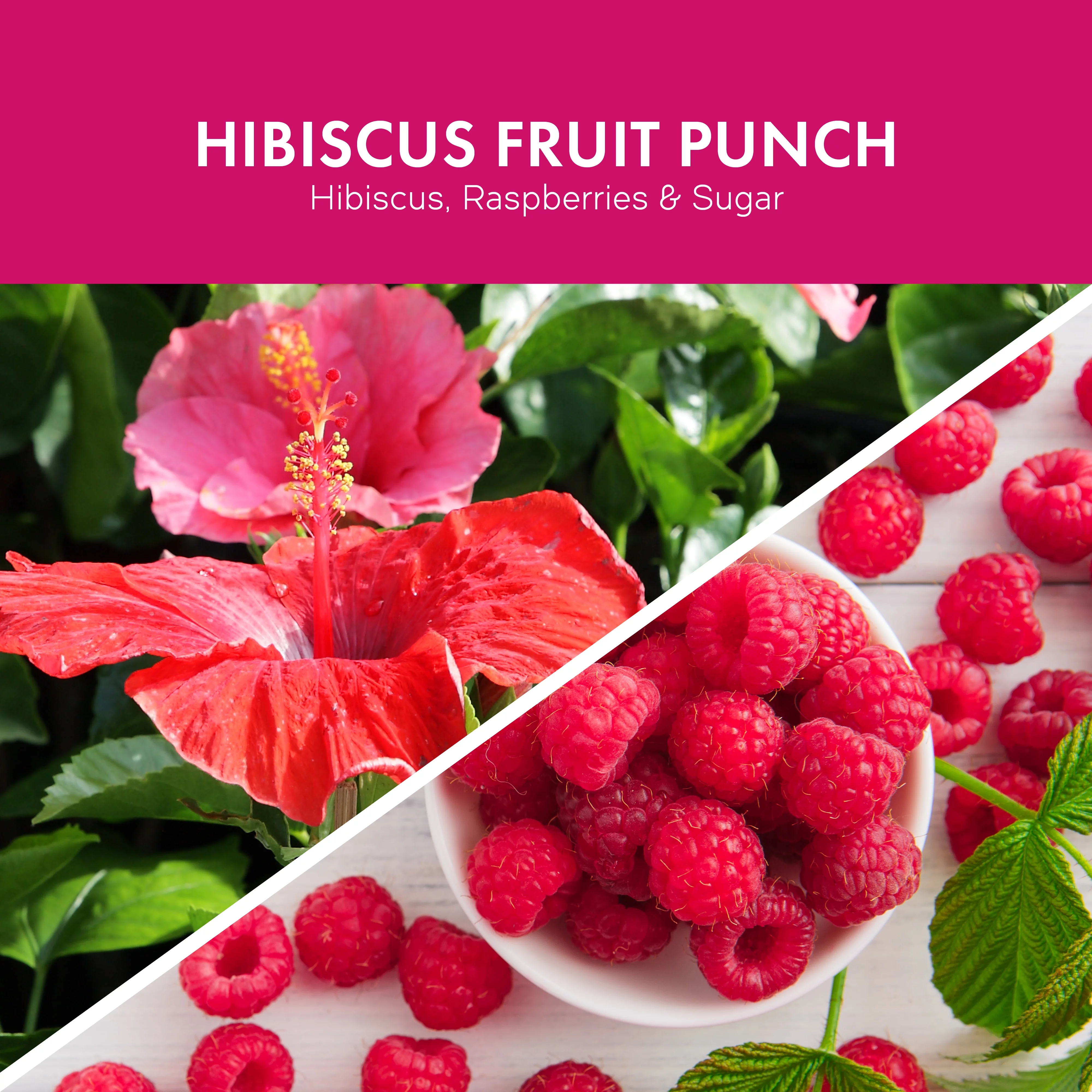 Goose Creek, Hibiscus Fruit Punch Scented 3 Wick Jar Candle, 14.5oz, 45 Hr, Fruity