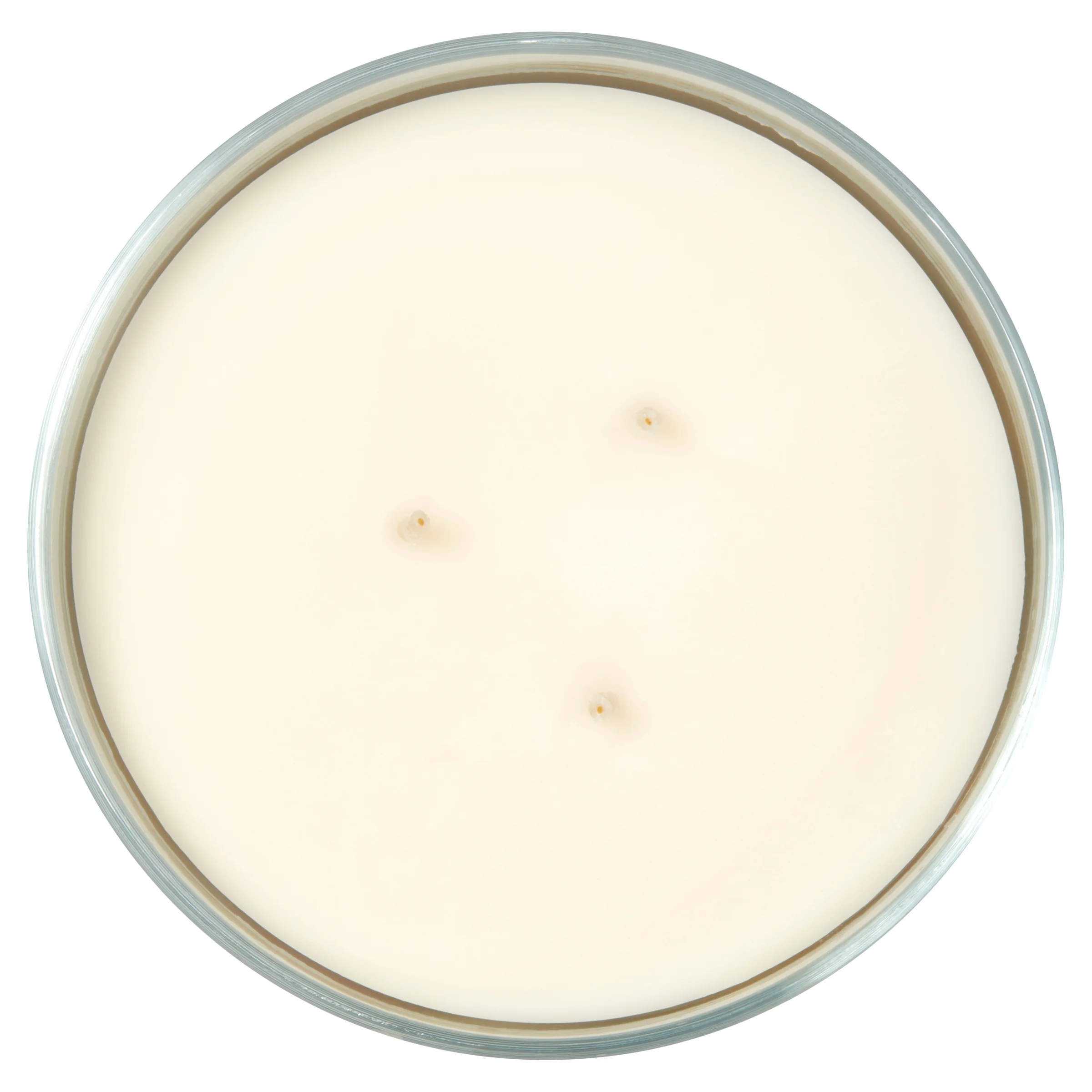 Mainstays 3-Wick Wrapped From Sea to Shining Sea Scented Candle, 13 oz