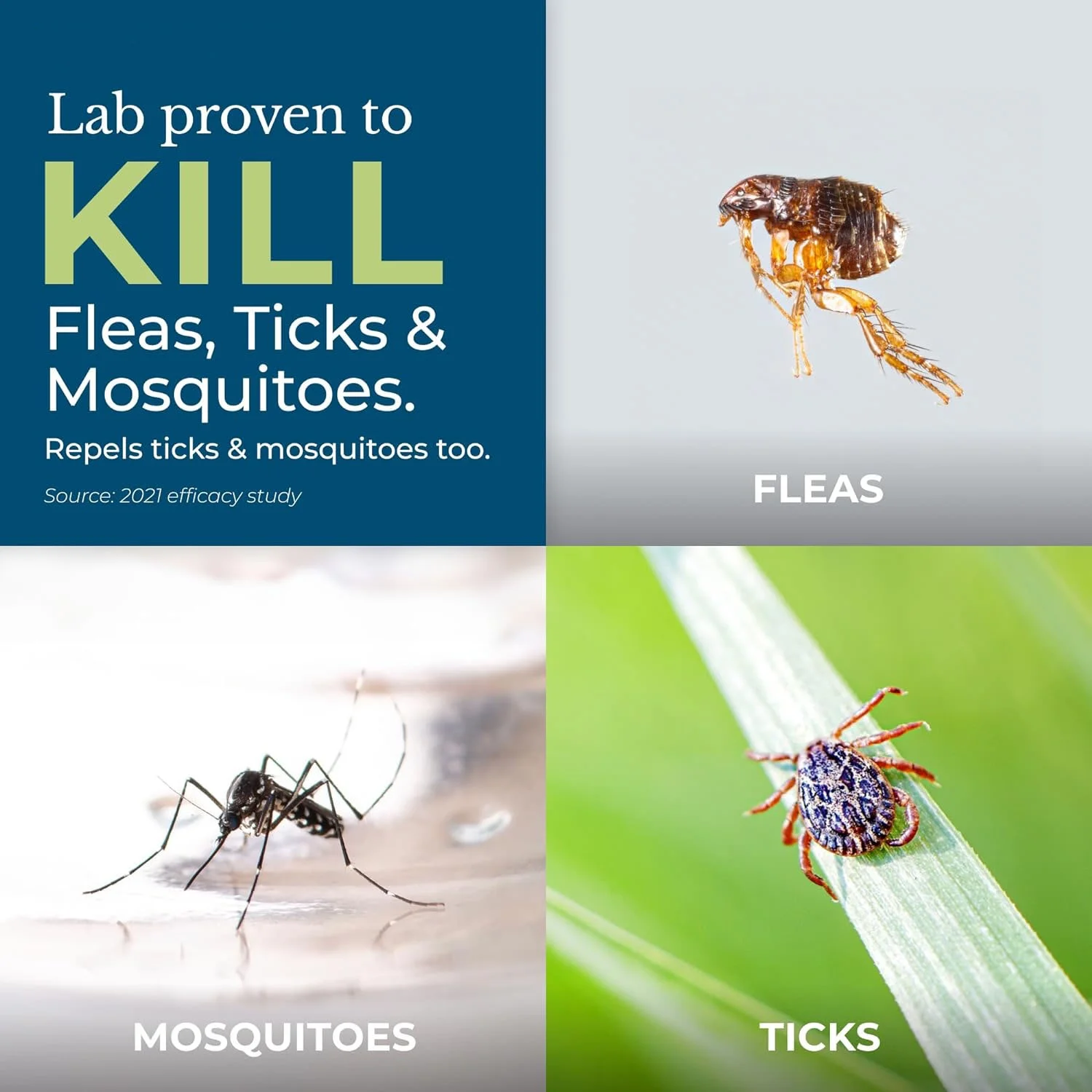 Flea, Tick, and Mosquito Yard Spray Refill Starter Kit - Powered by Natural Essential Oils – Insect Killer and Repellent - Lawn Treatment - 32 oz Ready to Use and 16 oz Concentrate