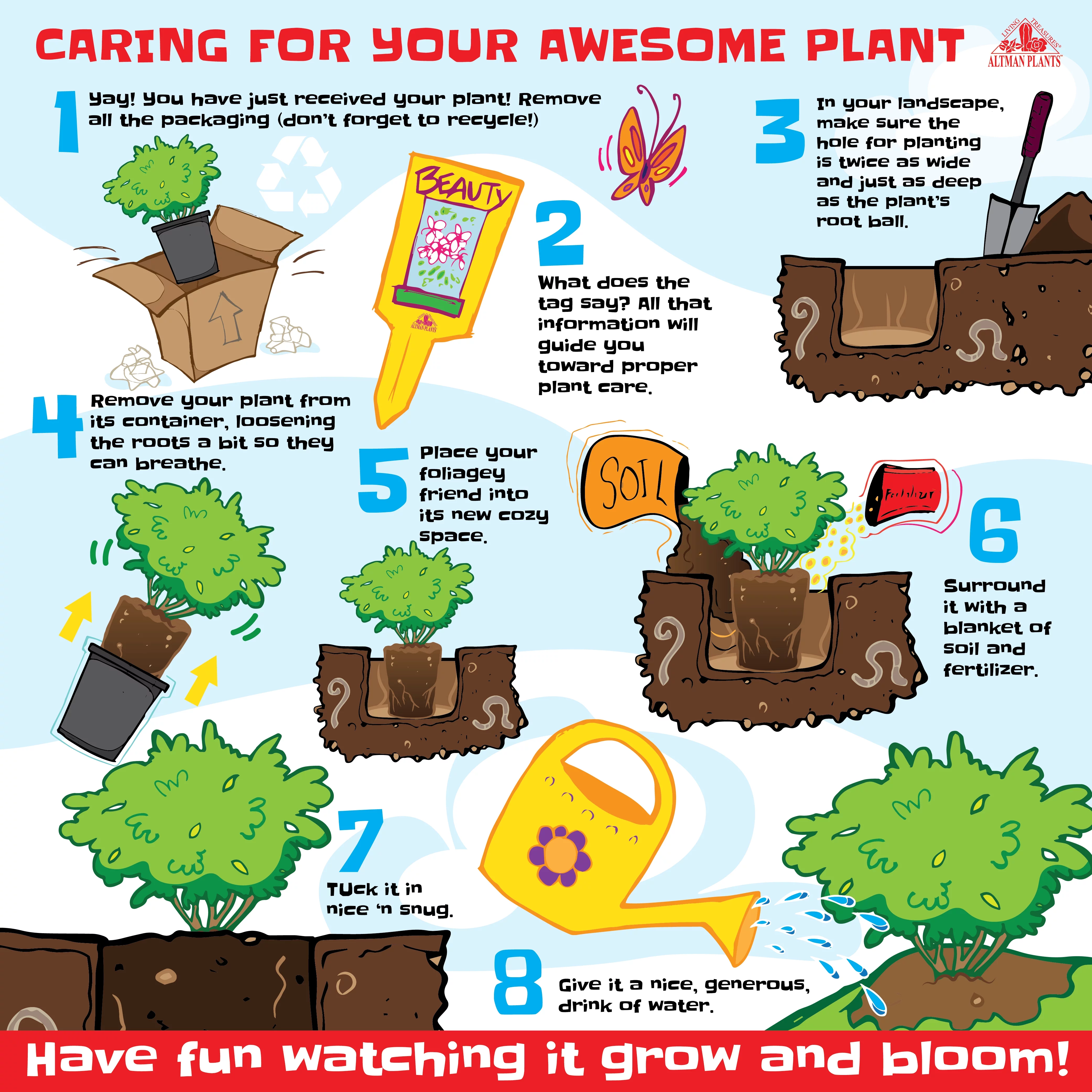 Altman Plants 1Gal Ligustrum Japonicum Live Plant Pot