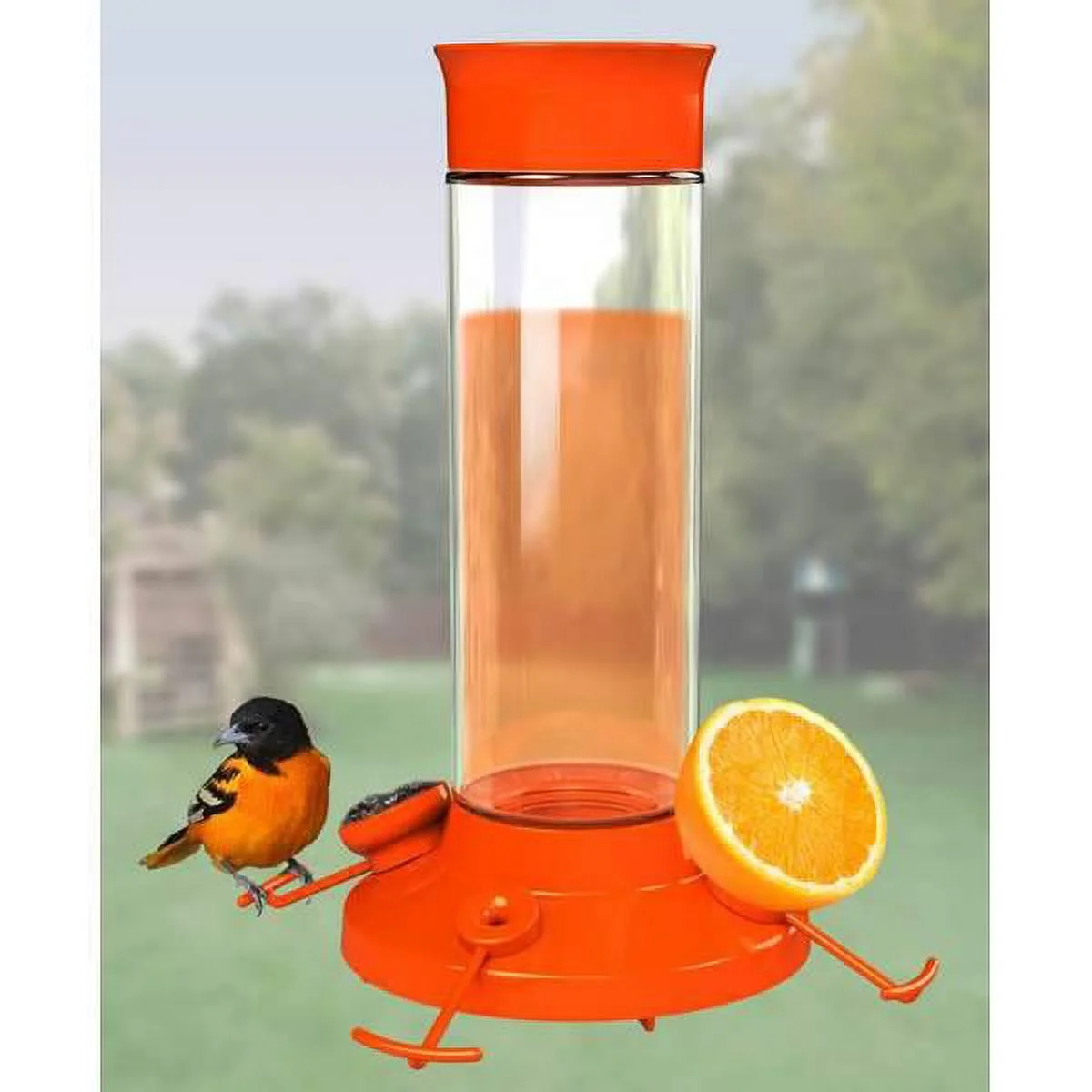 Glass Oriole Feeder