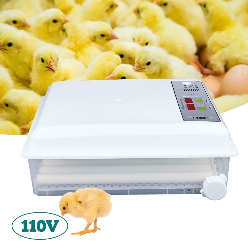 Egg Incubator 64 Eggs Fully Digital Automatic Hatcher Fits Hatching Chicken Farm