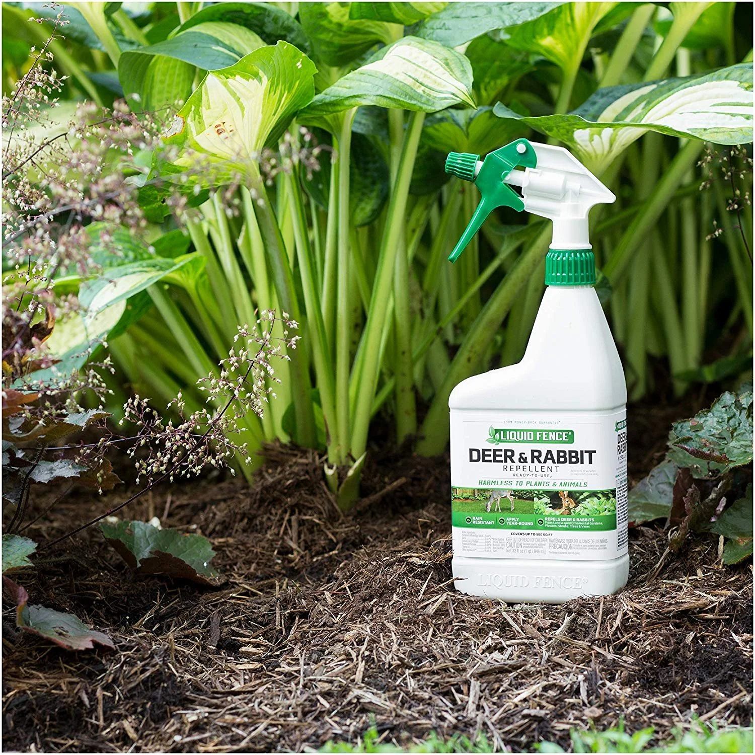 Liquid Fence Deer & Rabbit Repellent Ready-To-Use, 32-Ounce, 6-Pack