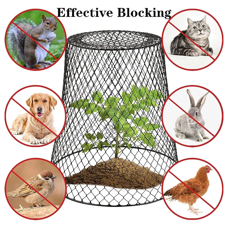 10 Pack Metal Garden Chicken Wire Plant Cloche, 9