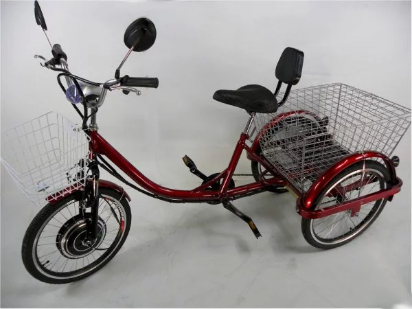 Cozytrike Adult Electric Tricycle Trike 3 Wheels Bike Scooter