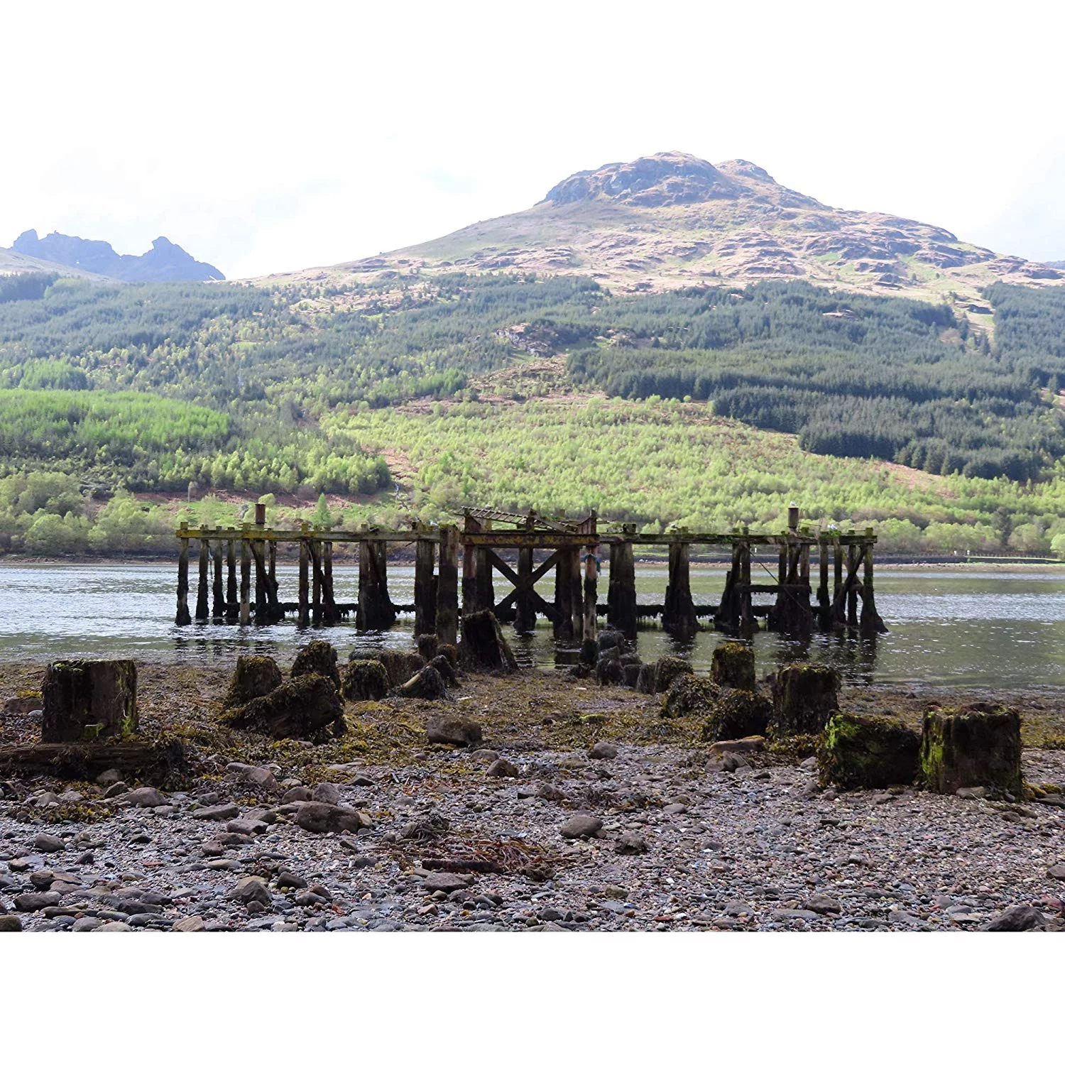 Canon Powershot SX740 HS 4K Video Digital Camera Black + Advanced Bundle