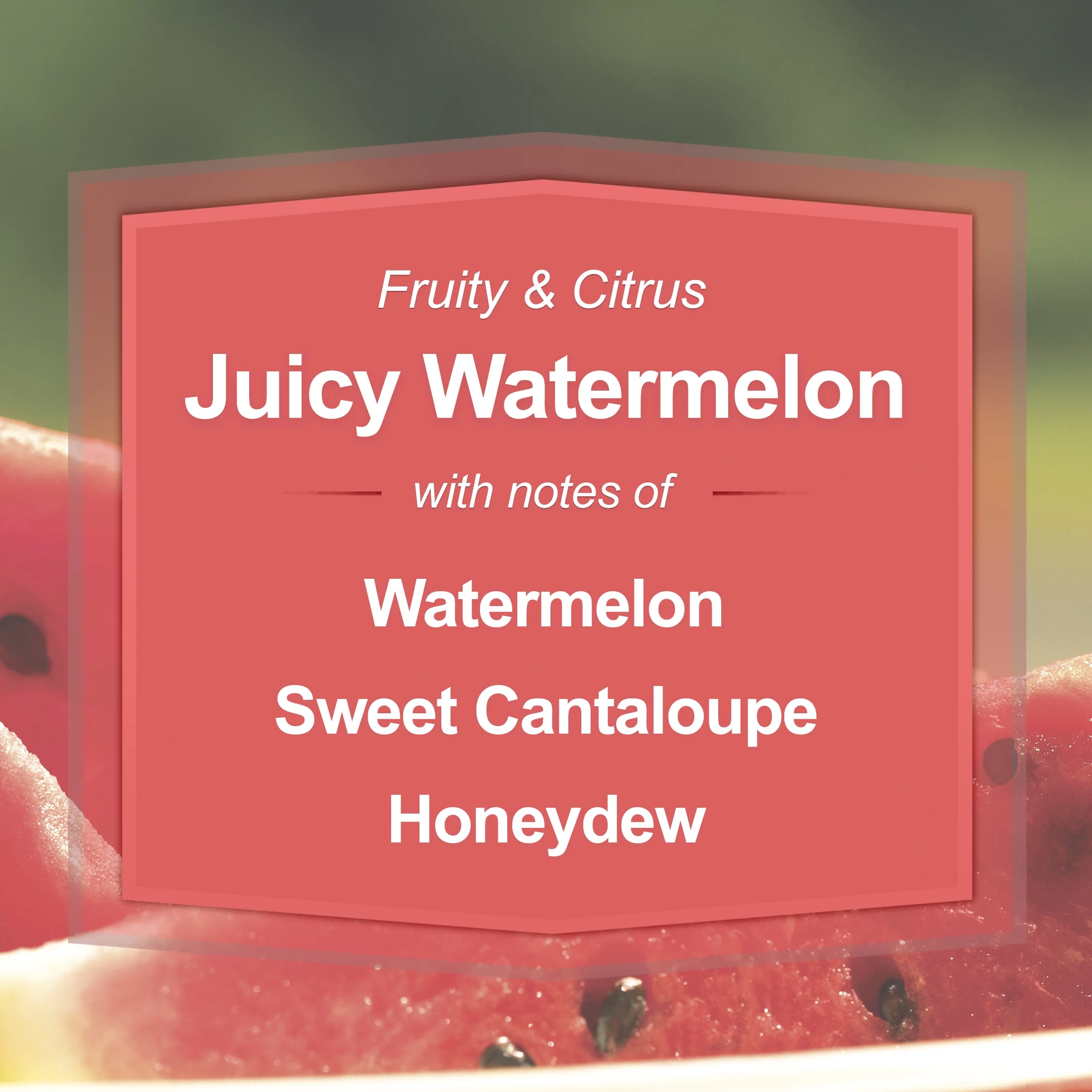 (2 pack) Mainstays Juicy Watermelon Scented 3-Wick Candle, 11.5oz