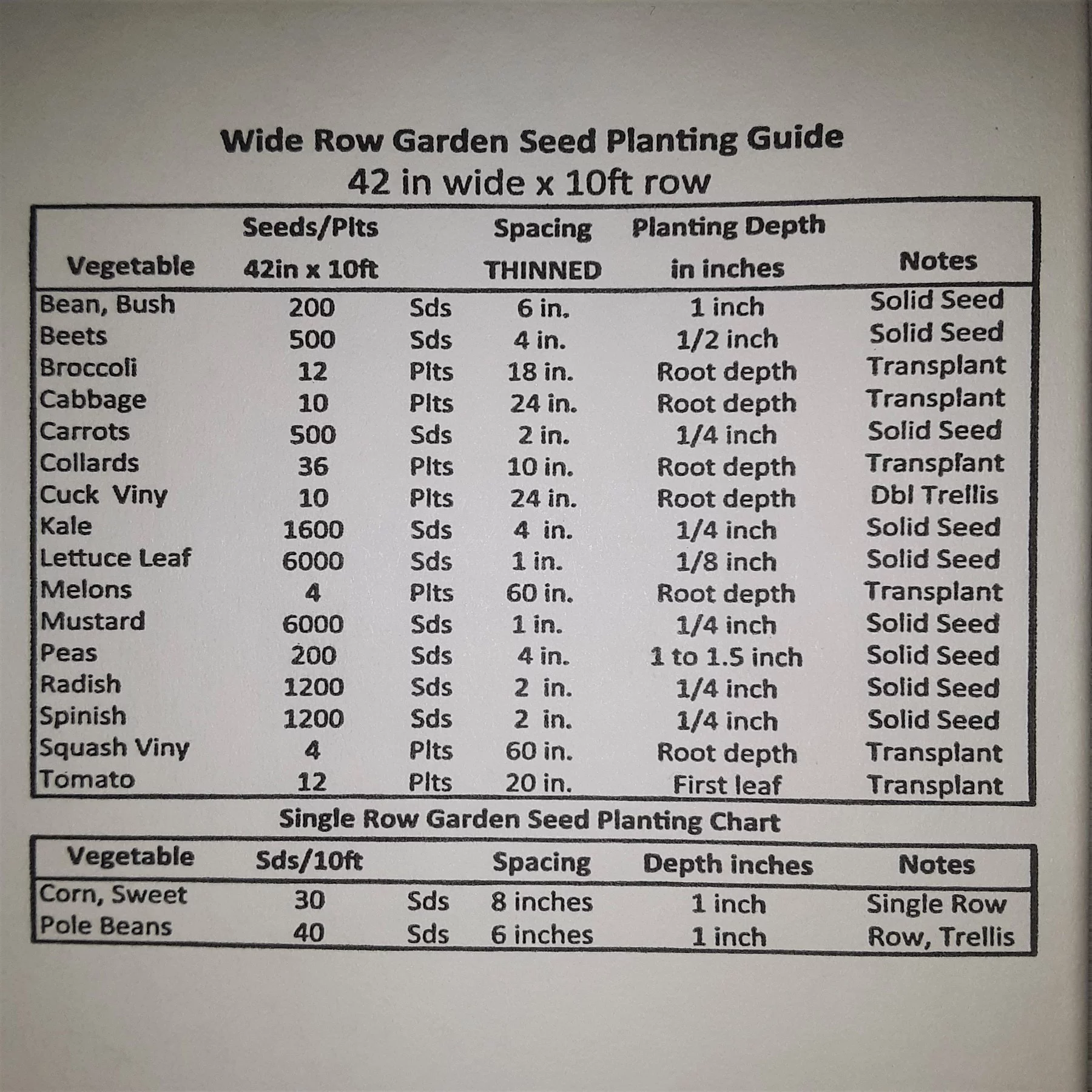 PAPAW'S GARDEN SUPPLY LLC. HELPING THE NEXT GENERATION GROW! Jade Bush Green Bean 300 Seeds