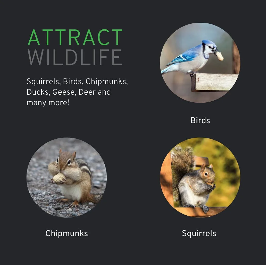 Wakefield Virginia Peanuts Extra Large for Animals, 6 LBS