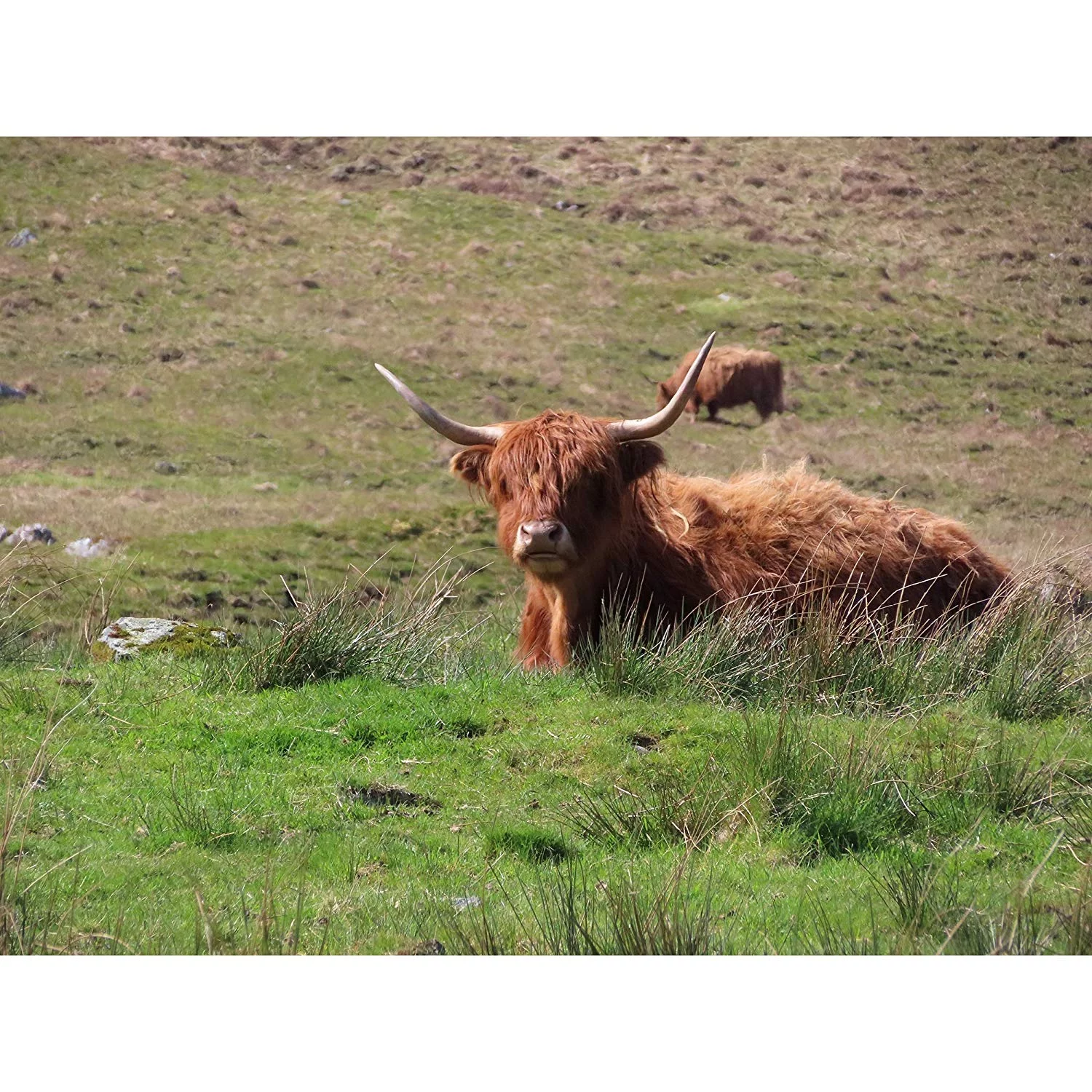 Canon Powershot SX740 HS 4K Video Digital Camera Black + Advanced Bundle