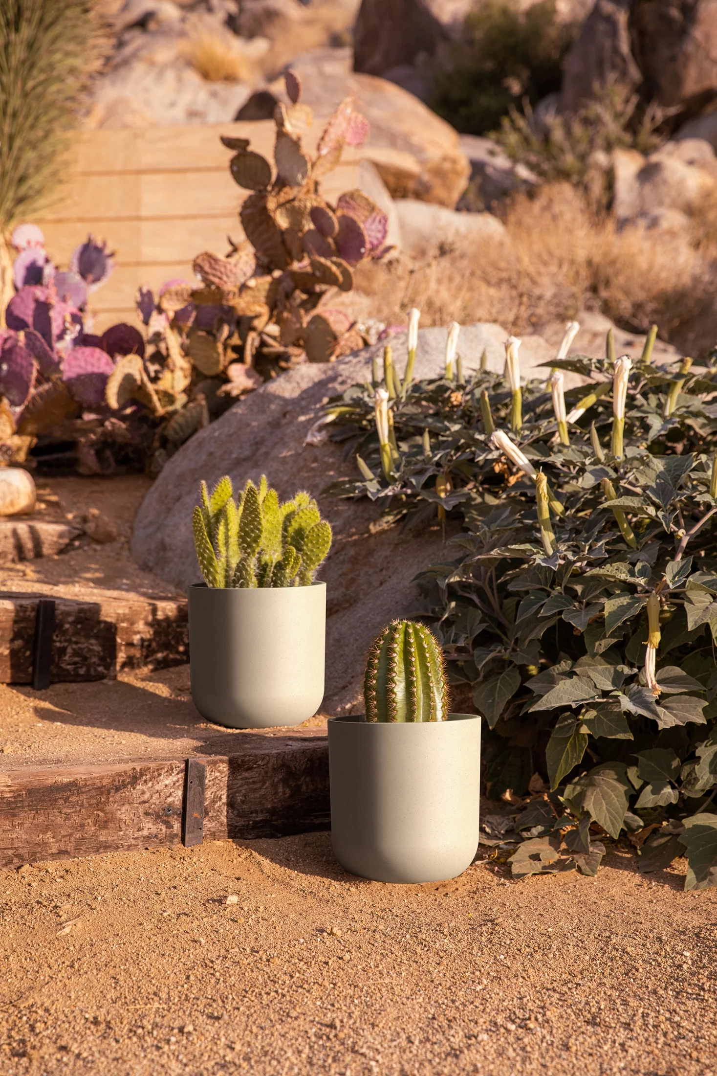 Veradek Mason Series Kona 10