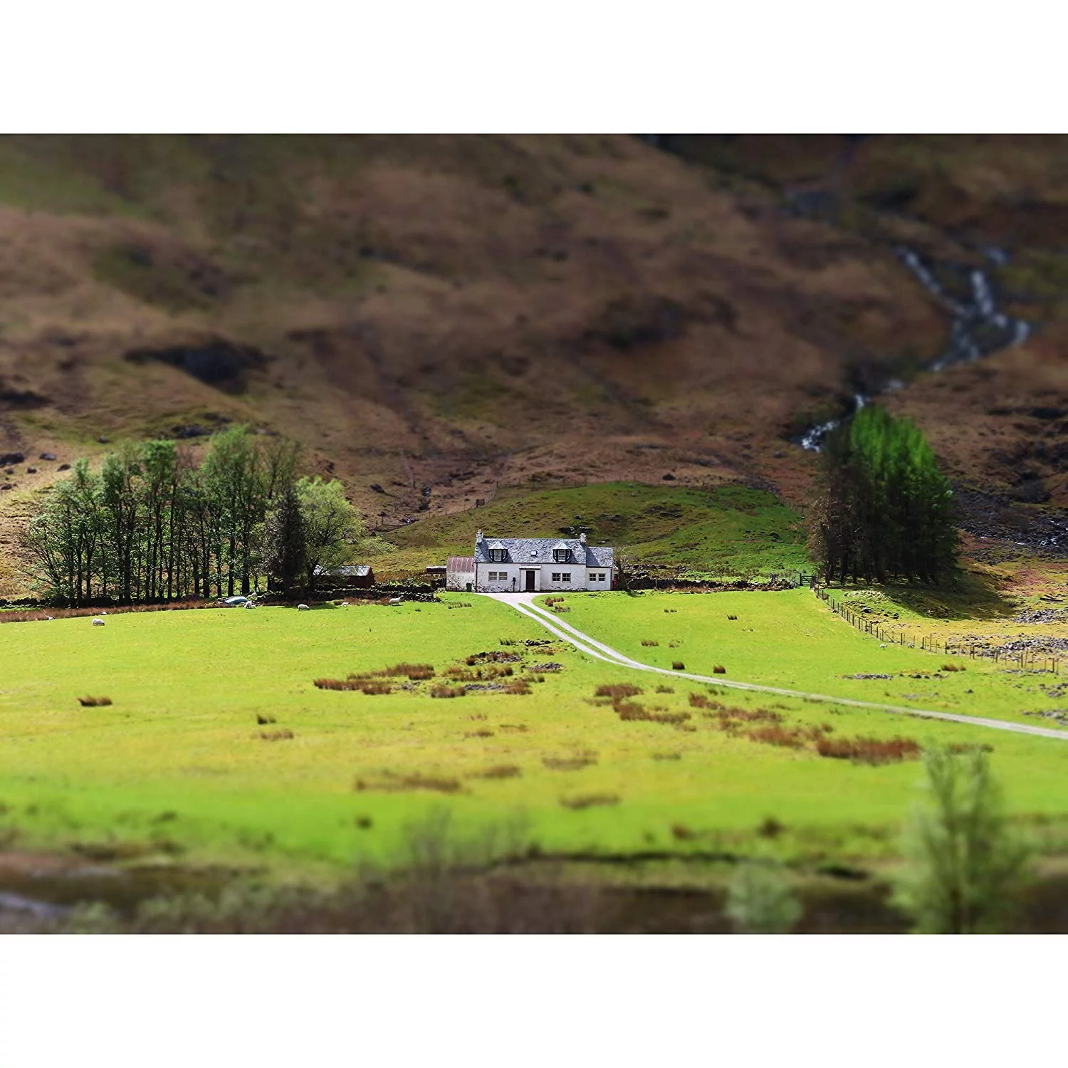 Canon Powershot SX740 HS 4K Video Digital Camera Black + Advanced Bundle