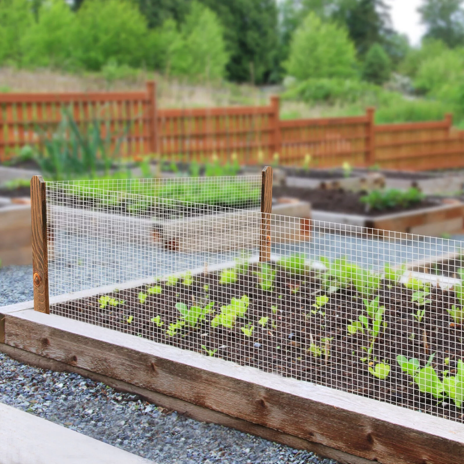 Miumaeov 36inx50ft Hardware Cloth 1/4 inch Galvanized Welded Wire Mesh Chicken Wire Fence Mesh Roll