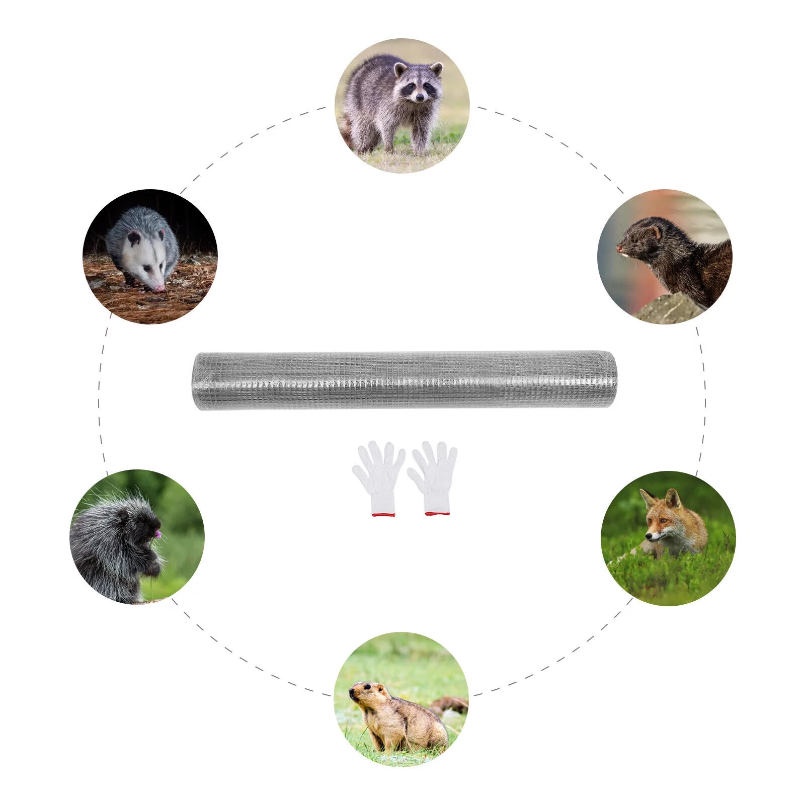 Miumaeov 36inx50ft Hardware Cloth 1/4 inch Galvanized Welded Wire Mesh Chicken Wire Fence Mesh Roll