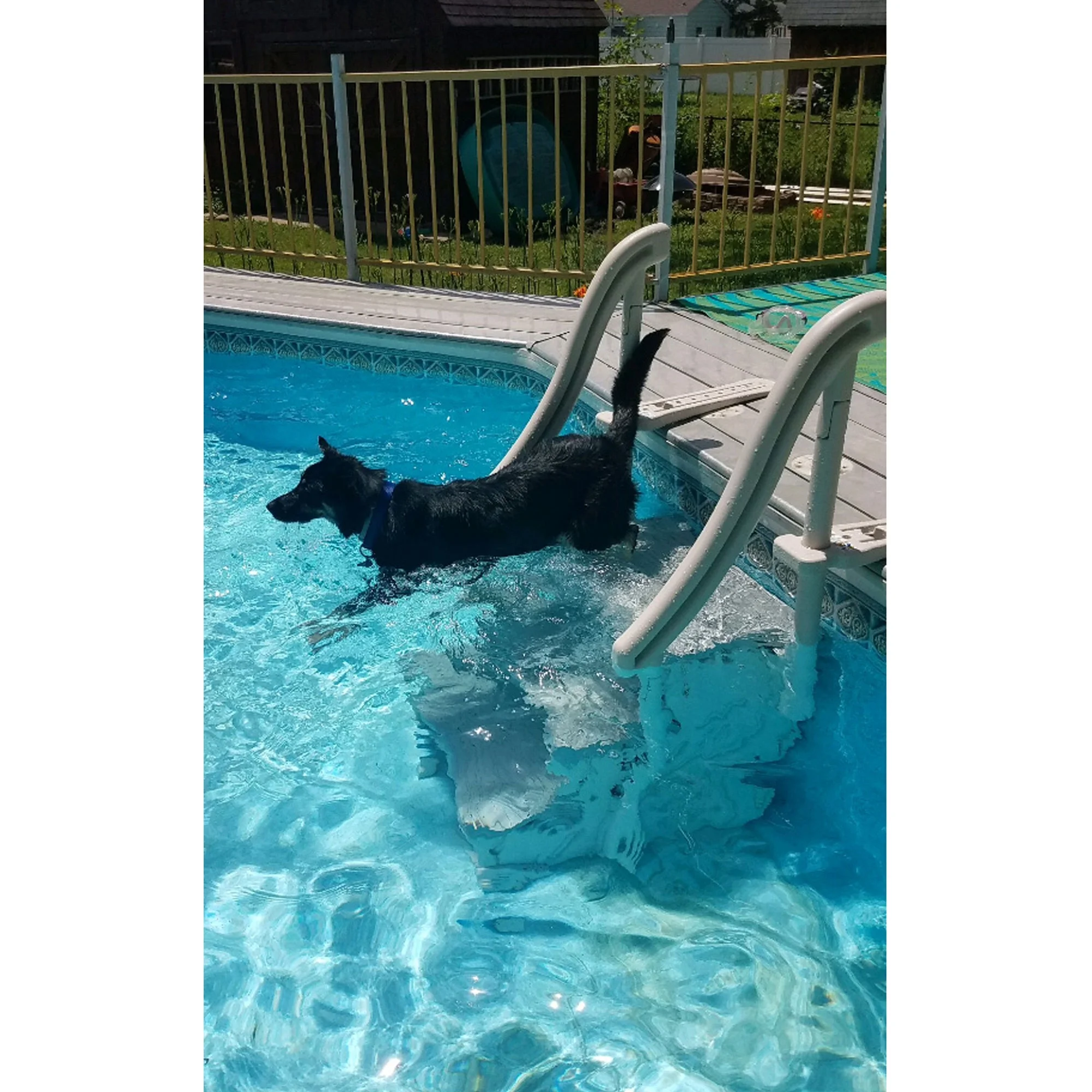 Confer Plastics Curved In-Pool 3 Step Ladder, In Ground Pool Stairs