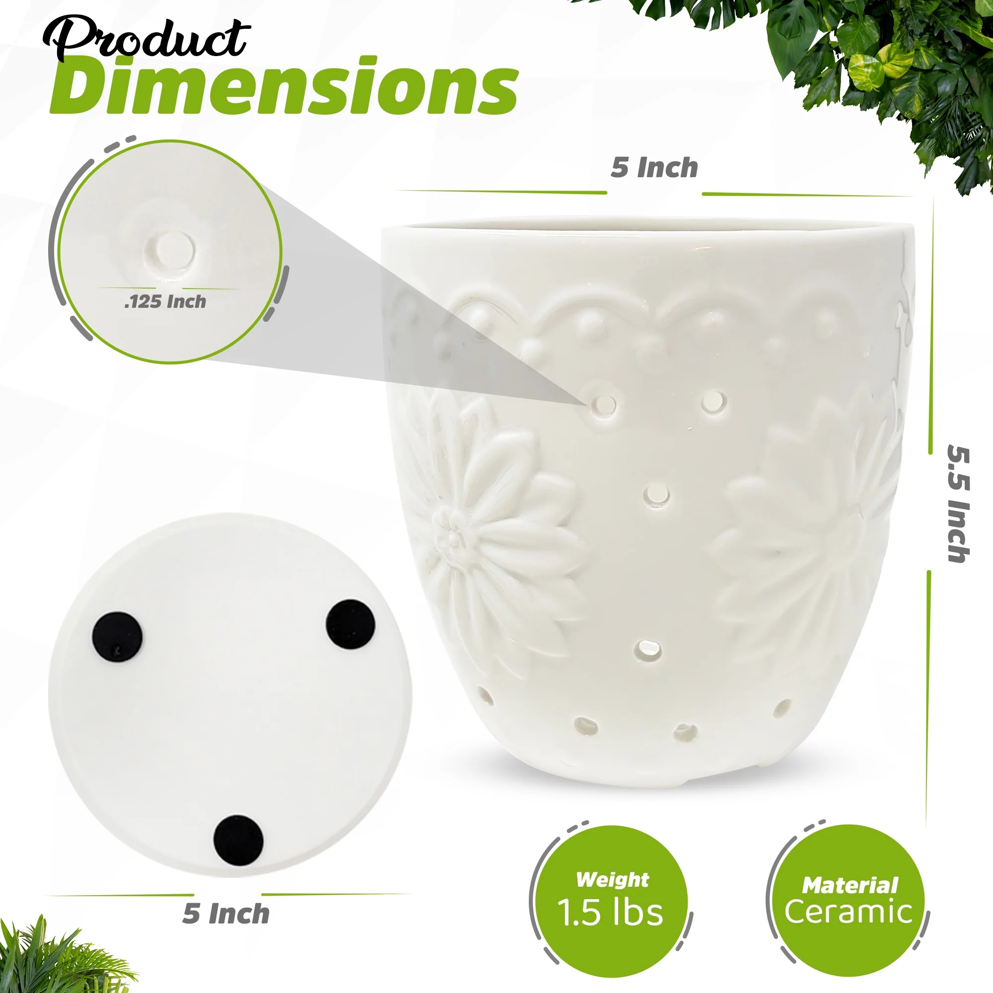 WILD ROOTS CO Ceramic Orchid Pot with Holes for repotting. Includes Steel tip prunning Scissors and six Transparent Dragonfly Orchid Clips.