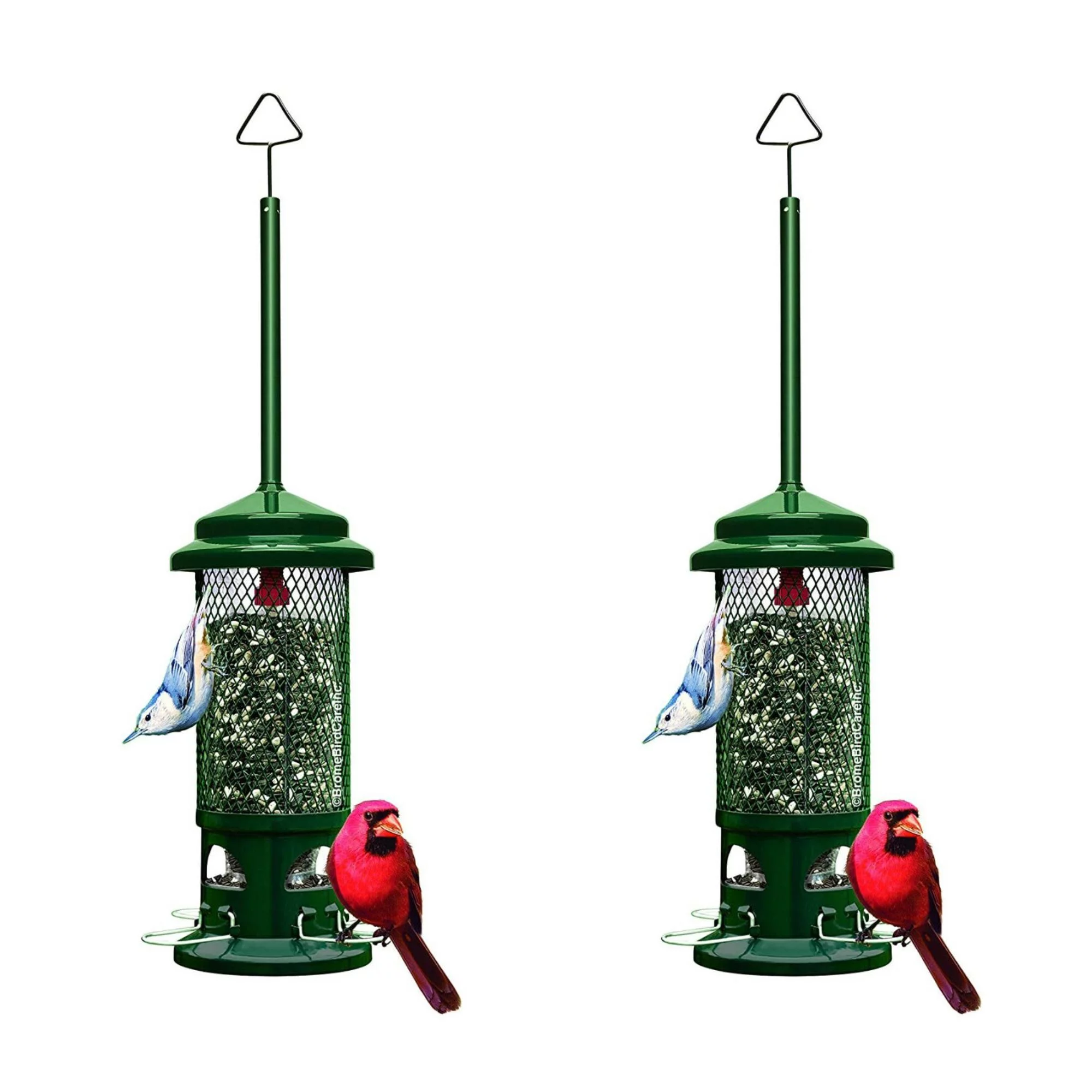 Brome Squirrel Buster Squirrel-Proof Bird Feeder with 4 Metal Perches (2-Pack)