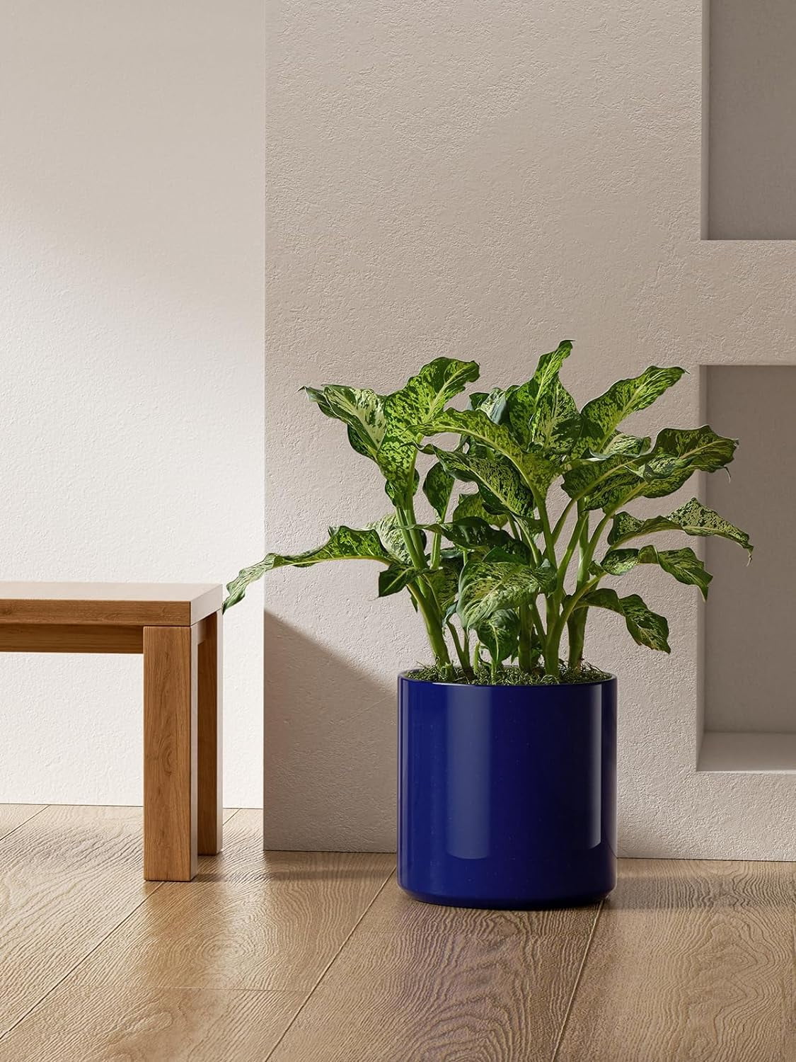 BEMAY 12 Inch Ceramic Large Plant Pot, Mid-Century Modern, with Drainage Hole and Removable Plug, Sapphire Blue