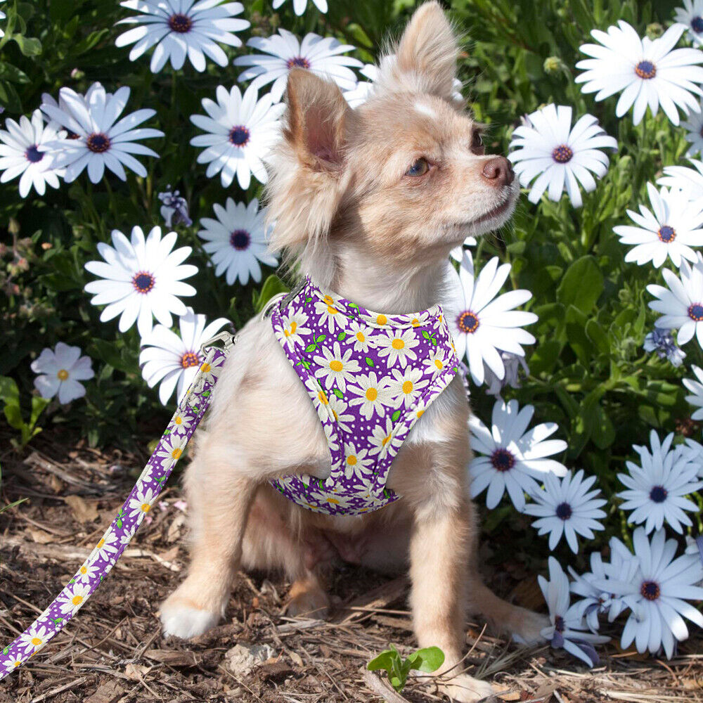 Floral Small Dog Harness and Leash Set Reflective Pet Cat Walking Vest Harnesses