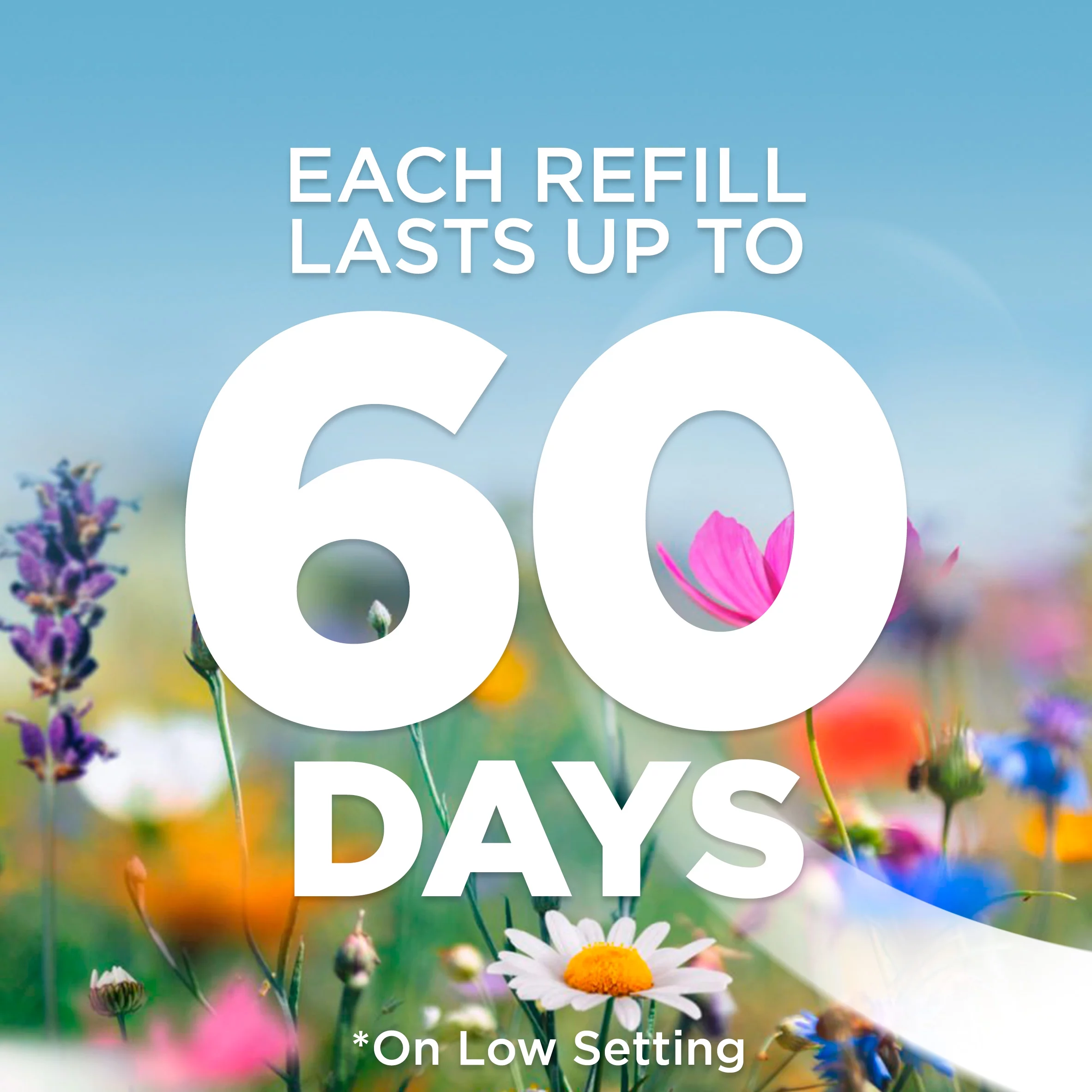 Air Wick Plug in Scented Oil Refill, 10ct, Hawaii, Air Freshener, Eco Friendly, Essential Oils