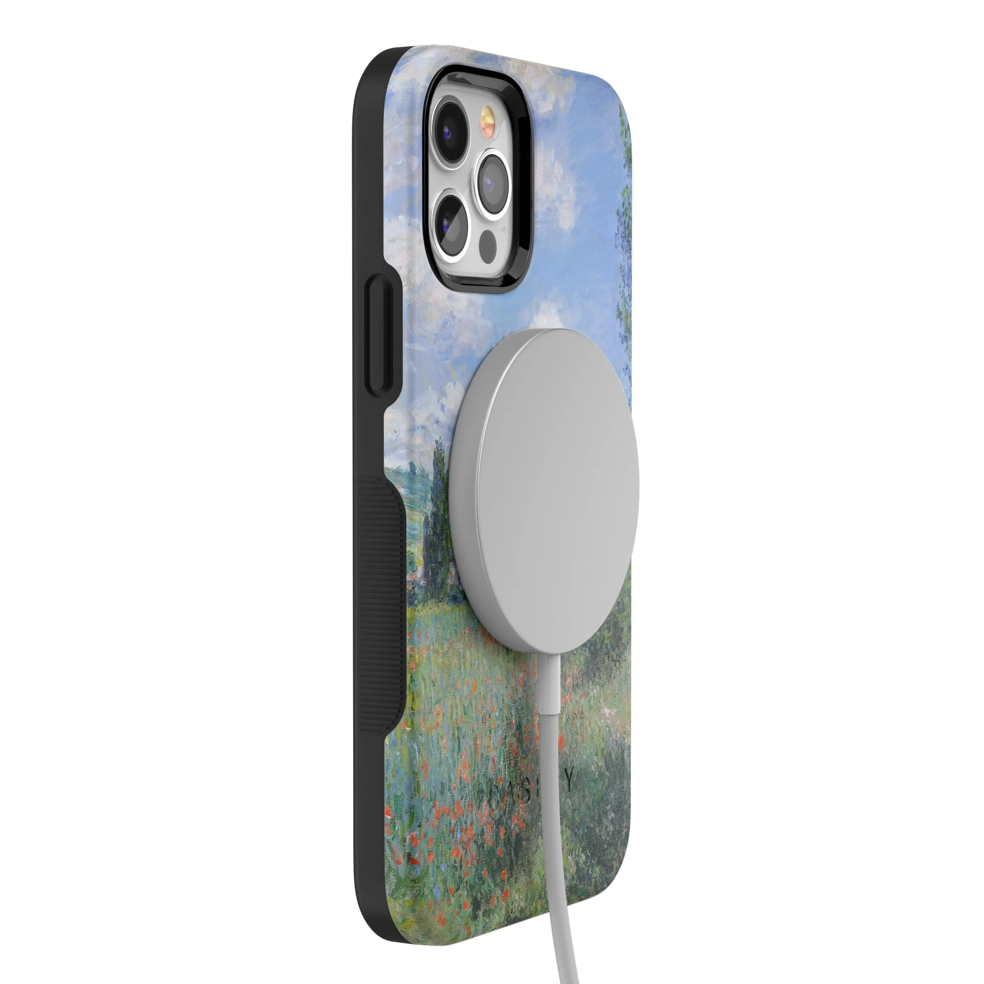 Casely iPhone 12 Pro Max Case | Monet’s View | The Met Museum Case | MagSafe