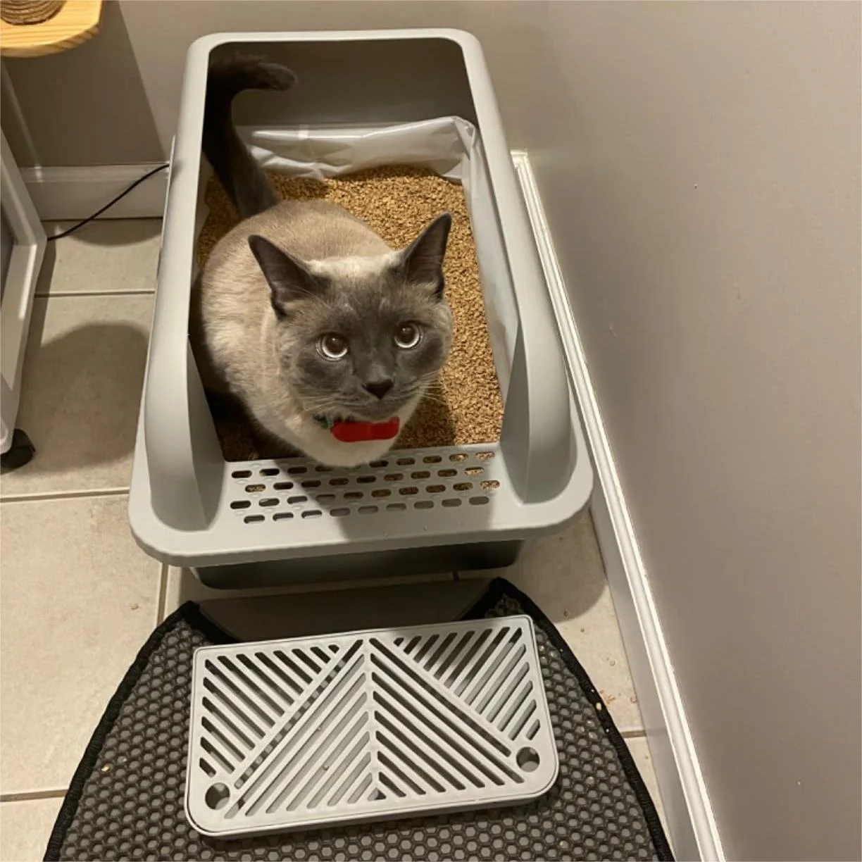 Vagascape Enclosed Stainless Steel Cat Litter Box with Lid, XL Extra Large Litter Box for Big Cats, Metal Litter Box High Sided