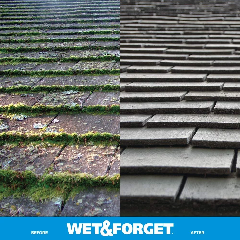 Wet and Forget Moss, Mold, Mildew & Algae Stain Remover, 1 Gallon Concentrate Make 6 Gallons - 3 Pack