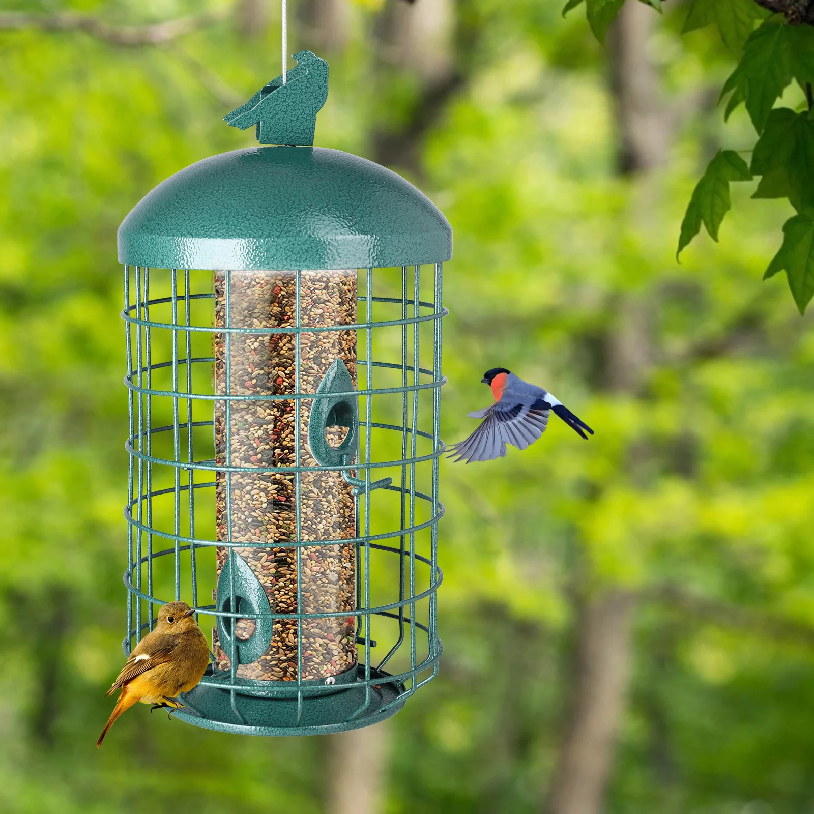 MUMTOP Squirrel Deterrent Green Bird Feeders for Outdoors Hanging, 2.73 lb Large Capacity, Caged Tube Wild Bird Feeder – Premium Grade Steel, Chew-Proof and Weather Resistant