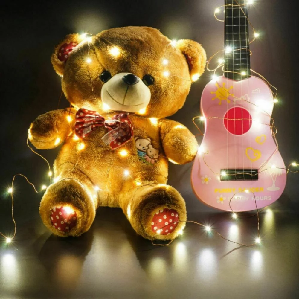 Sinhoon USB Plug in Fairy Lights with Remote Control Timer, 8 Modes 6.6-65.6ft 20-200 LED USB String Lights with Adapter, LED Twinkle Lights for Christmas Bedroom Indoor Decoration