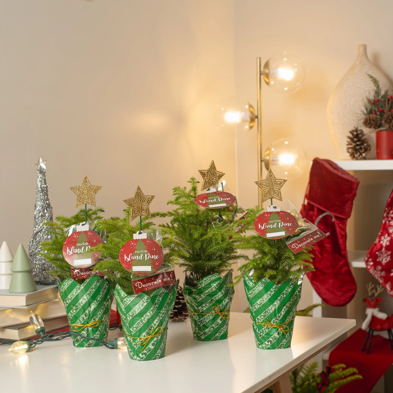 Costa Farms Live Indoor 12in. Tall Christmas trees; Direct Sunlight Plant in 4in. Pot Holiday decor, 8-Pack