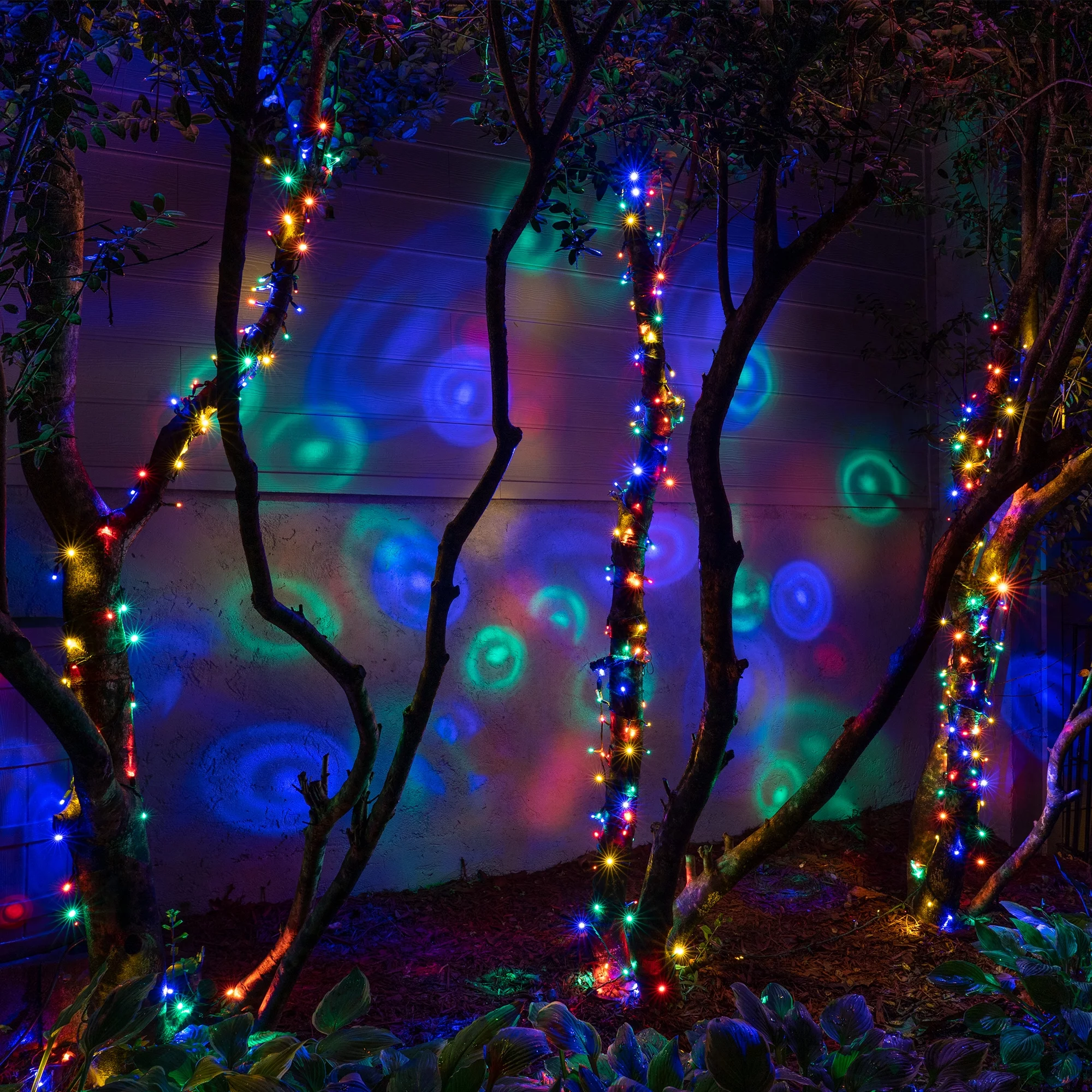 Wintergreen Lighting 50 Multicolor Halo Christmas Lights Holiday Party Convex Lights 4