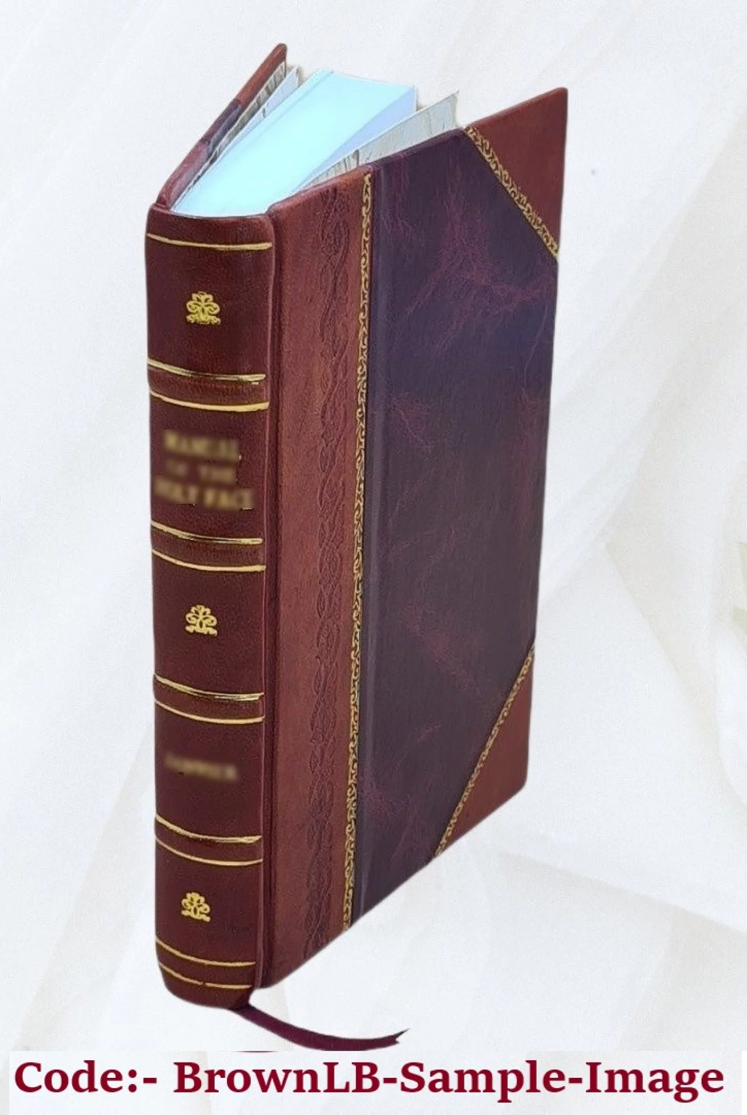 Final report (in four volumes) Volume v.3 text 1933 [Leather Bound]