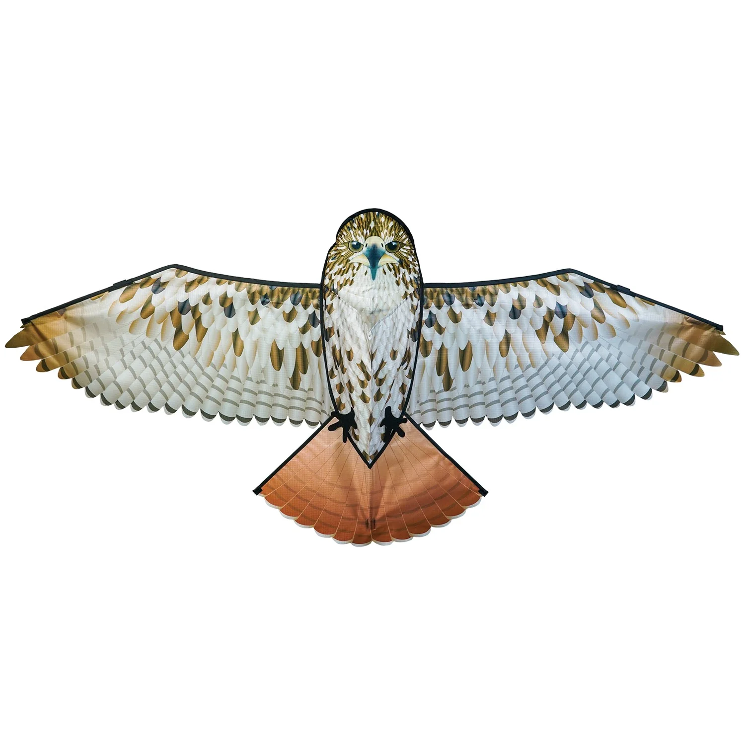 In the Breeze 3374 ﾡﾪ 70-inch Red-Tailed Hawk Kite ﾡﾪ Realistic Printed Bird of Prey Kite; Single-Line Easy-Flying; Kite Line Included