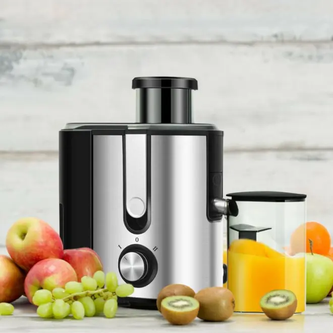 Giantex Centrifugal Juicer Machine Juicer Extractor Dual Speed