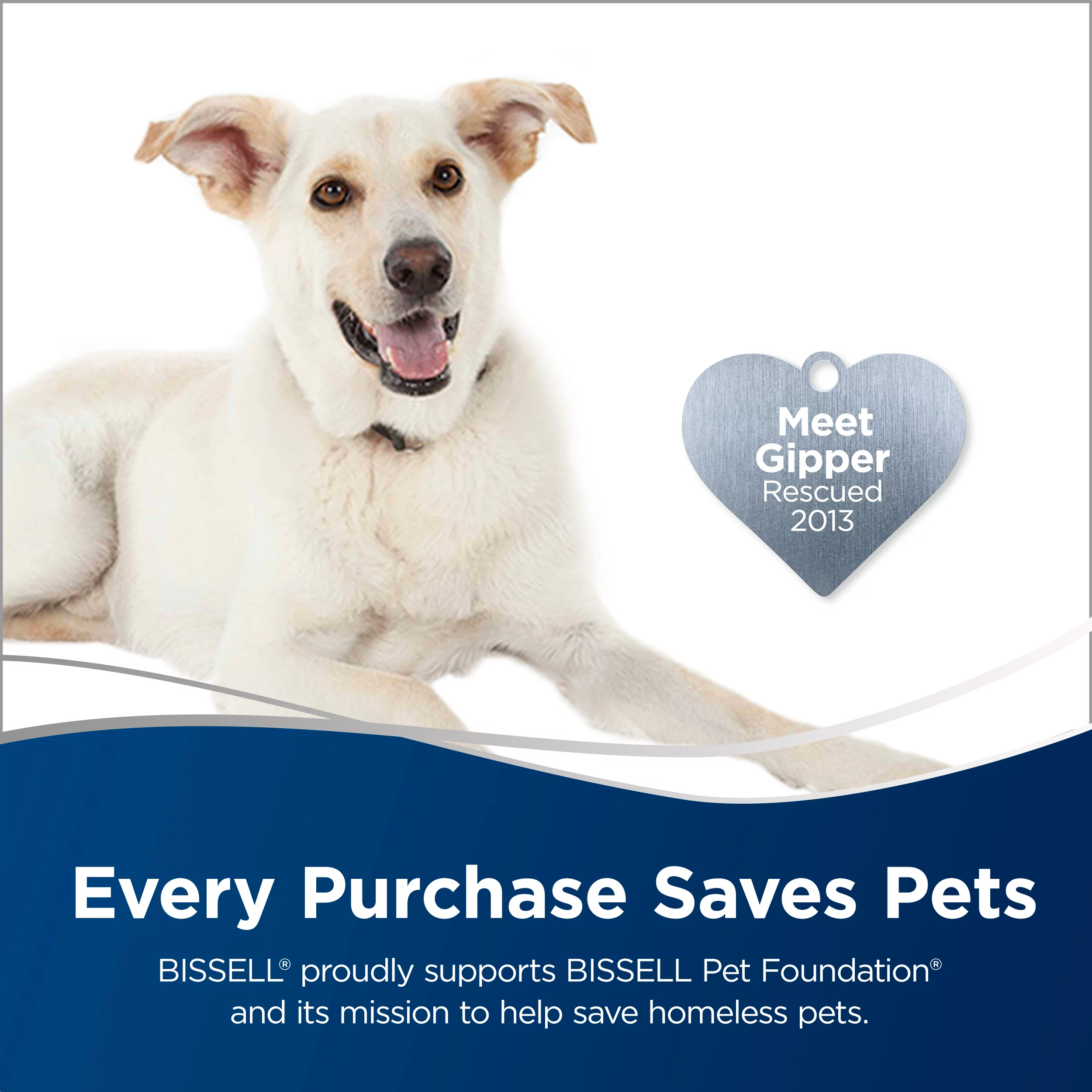 BISSELL Pet Hair Eraser Cordless Hand Vacuum, 1782
